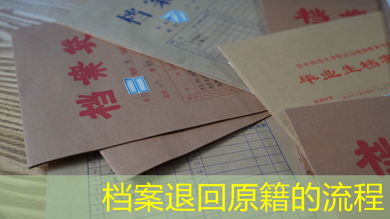 档案查询