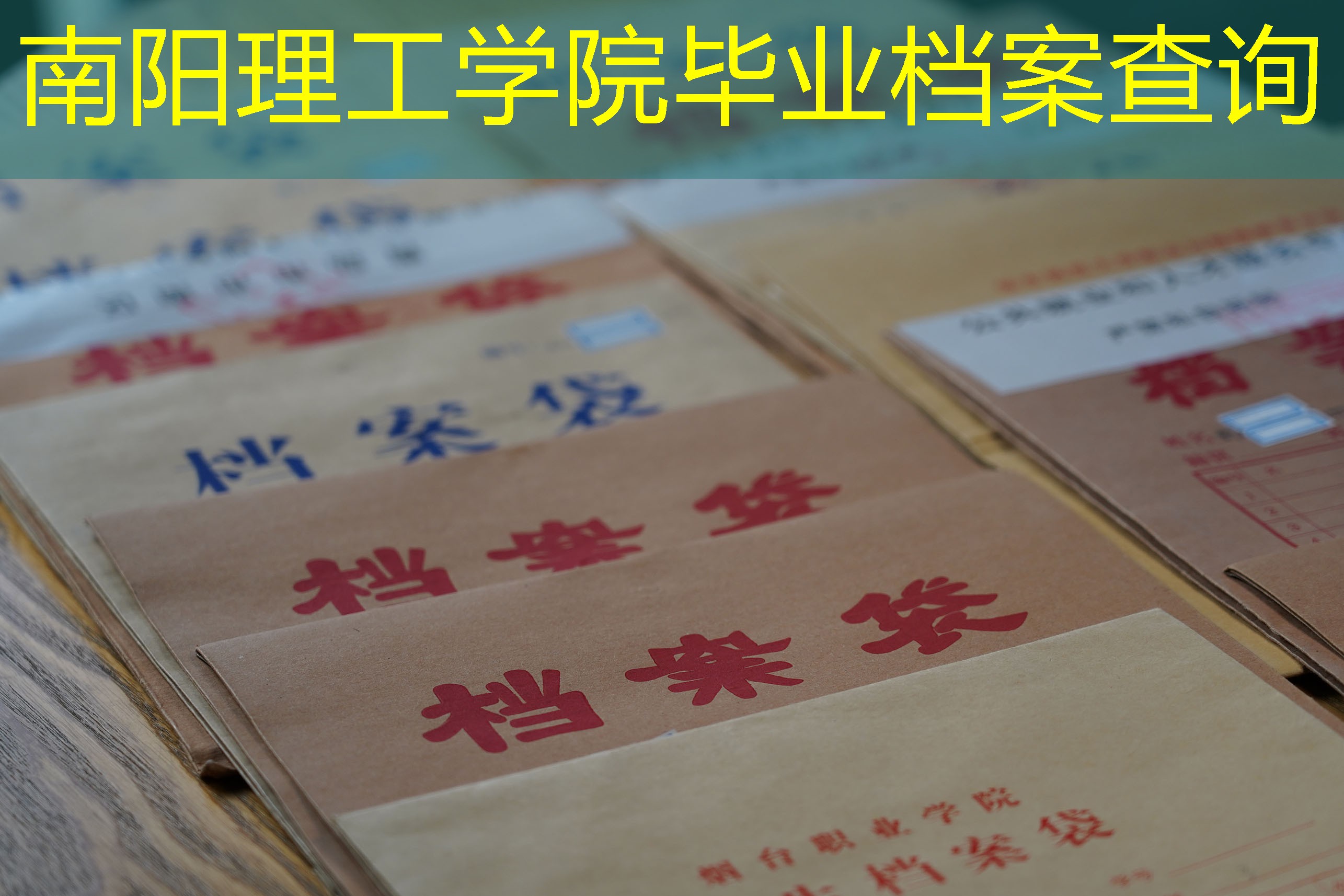 档案查询