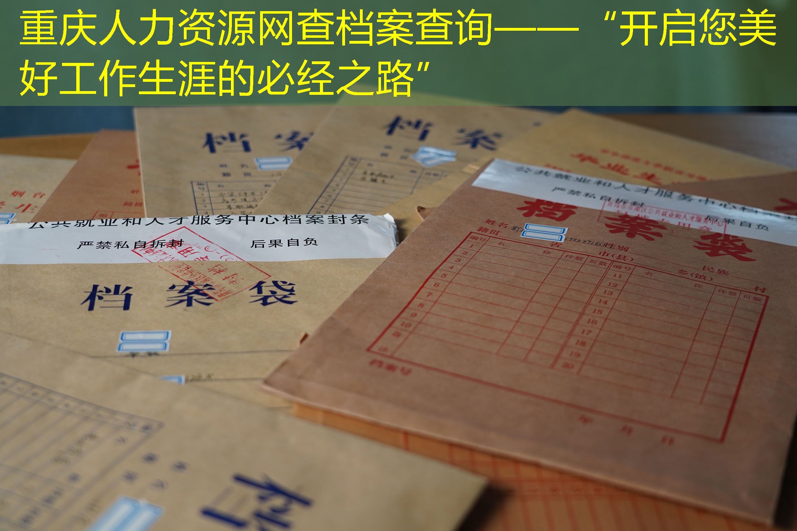 档案查询