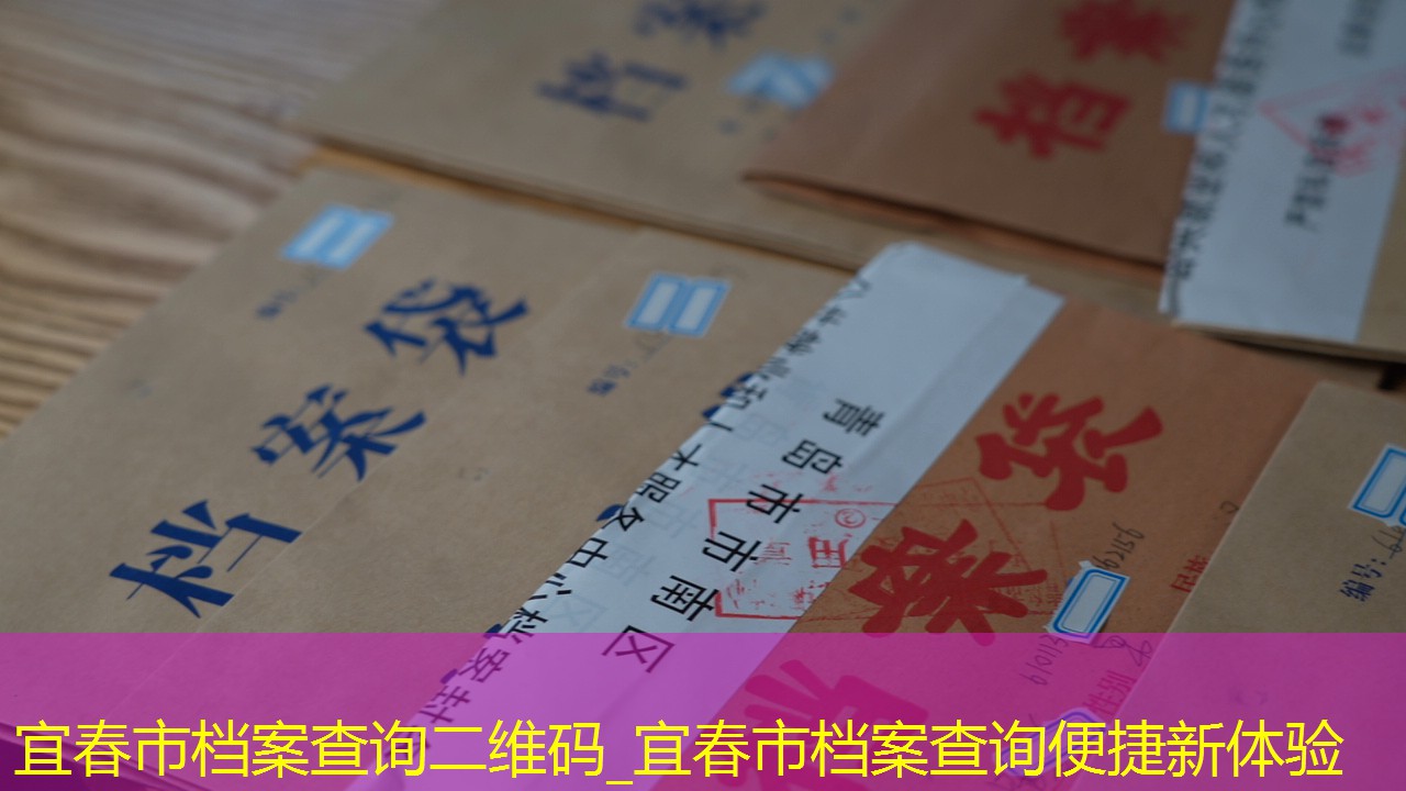 档案查询