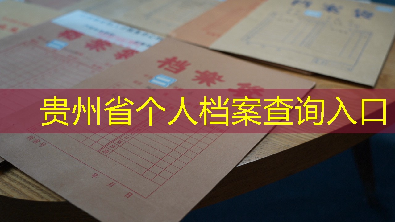 档案查询
