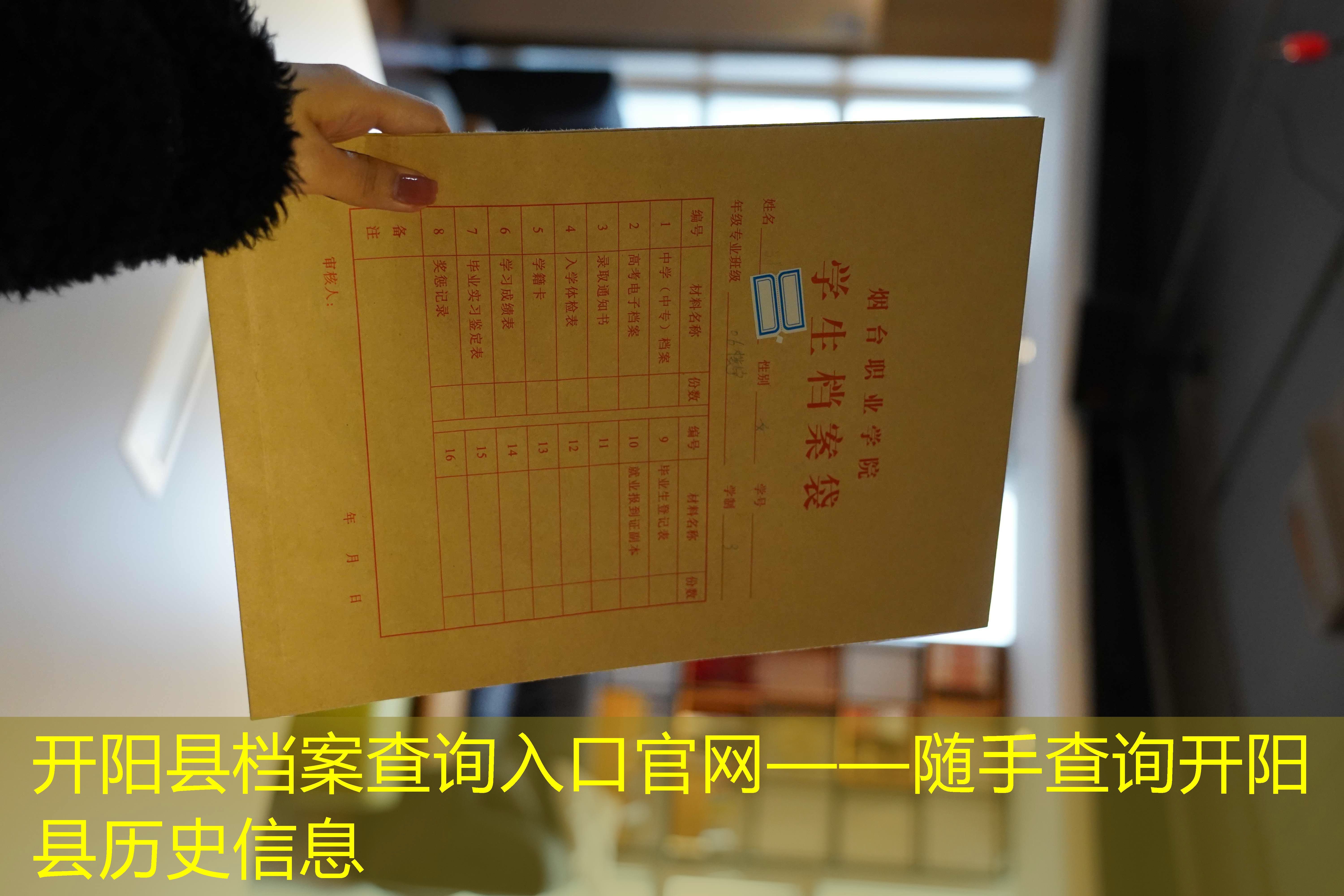 档案查询