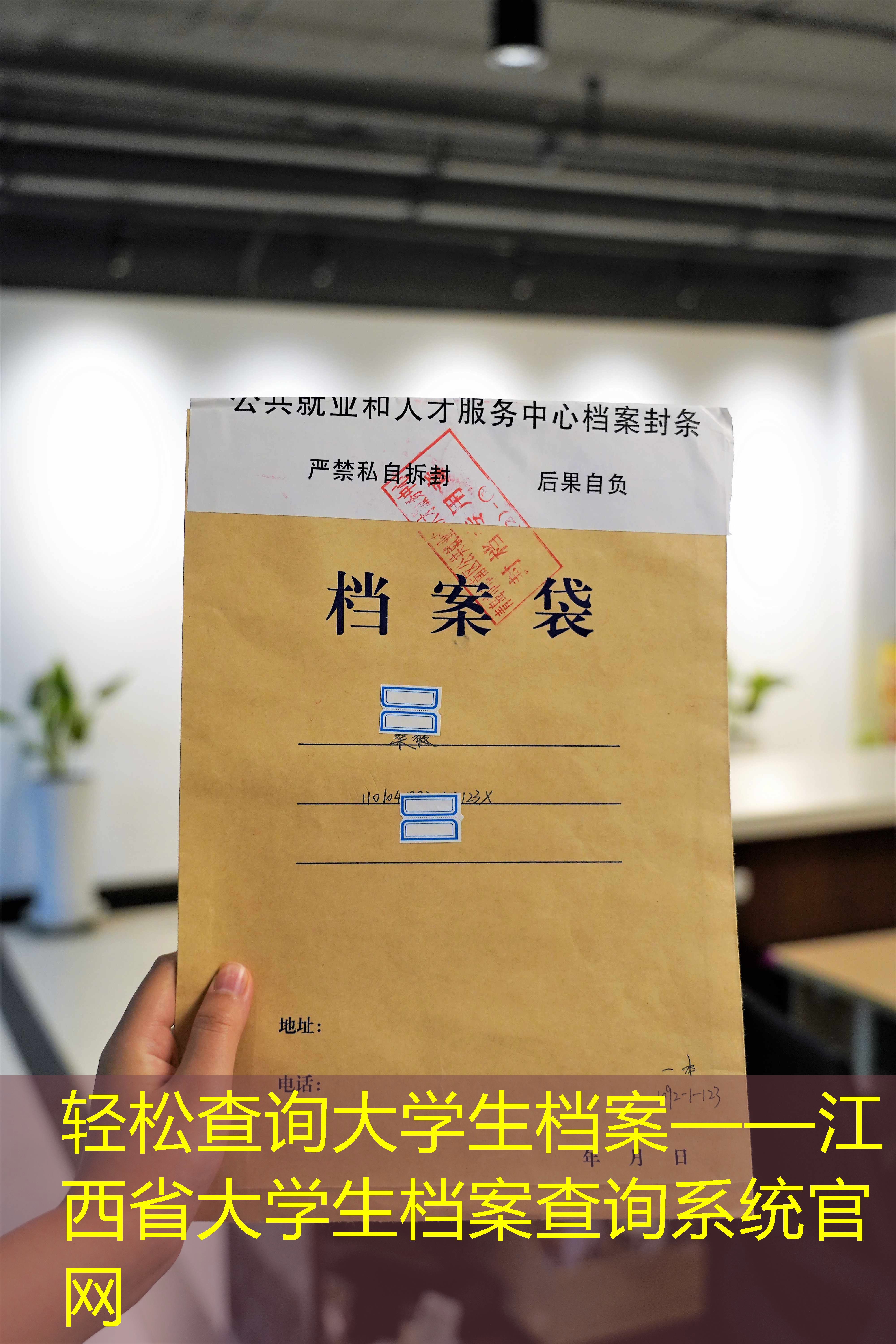 档案查询
