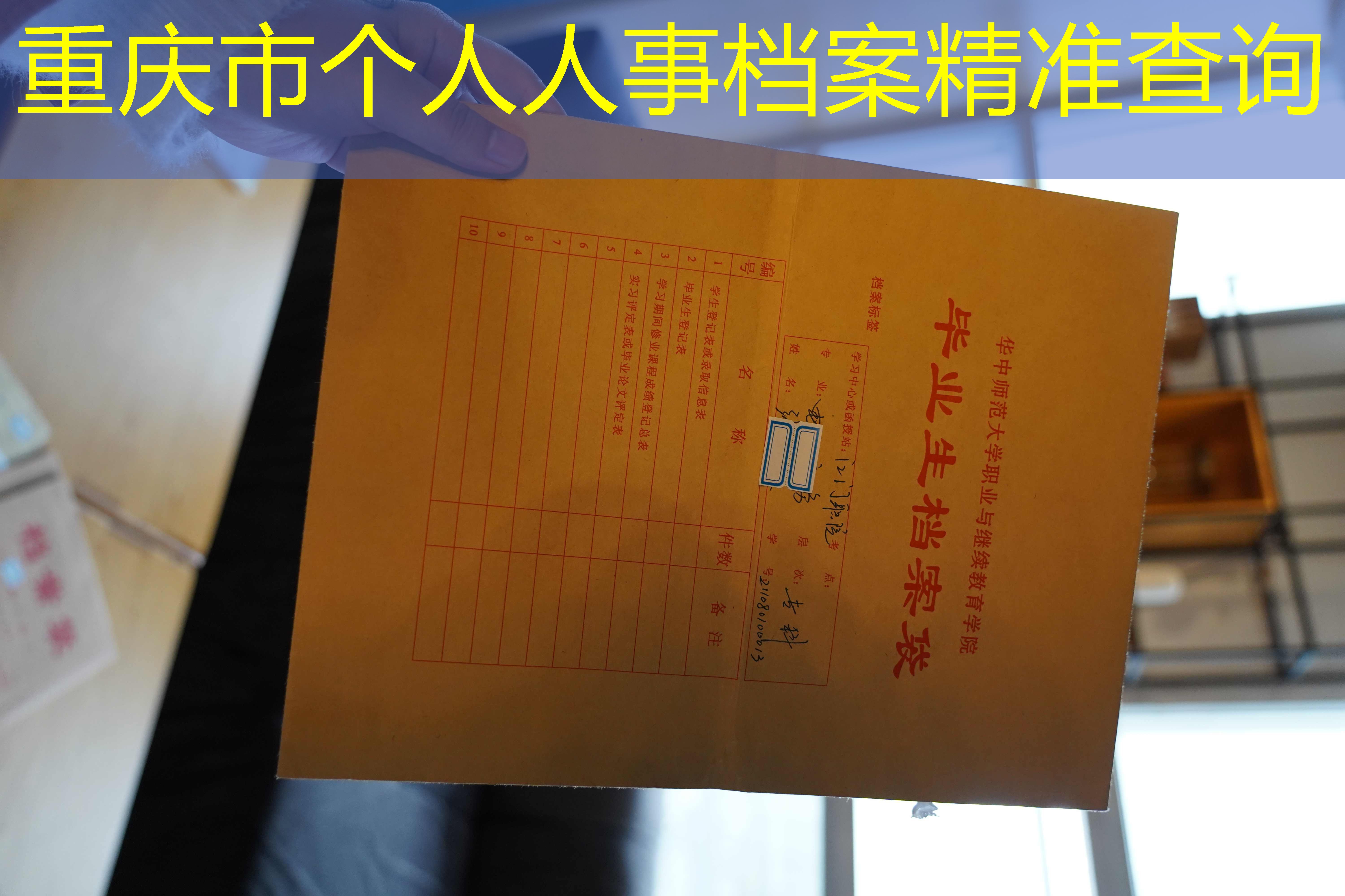 档案查询