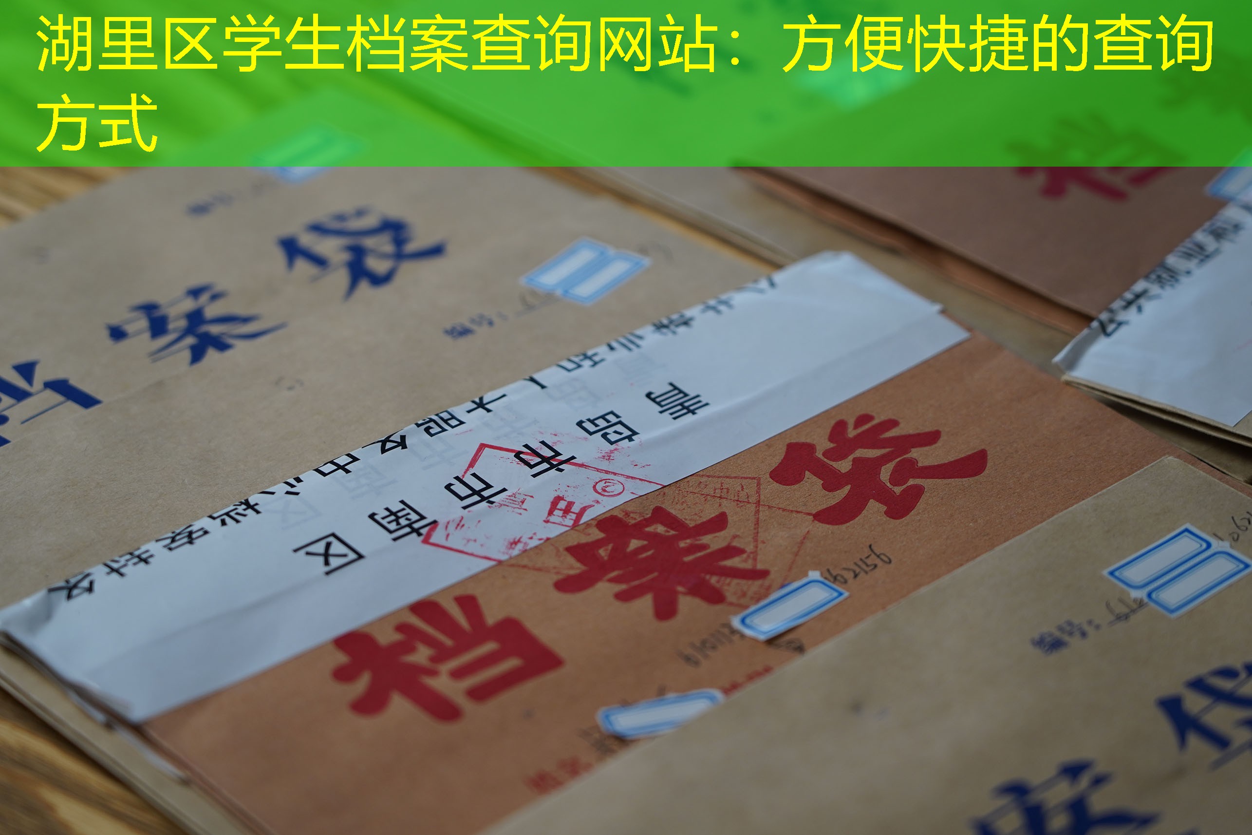 档案查询