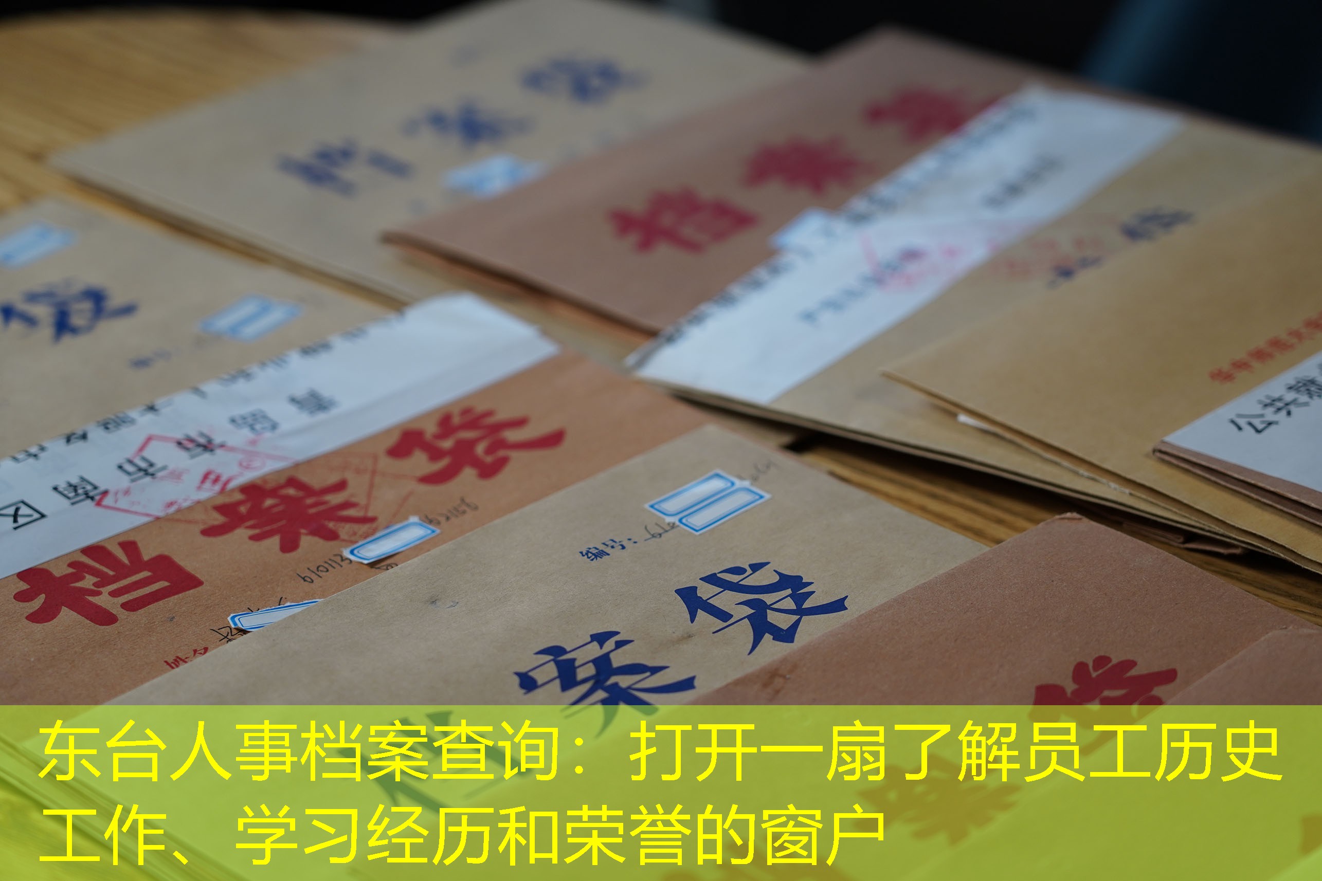 档案查询
