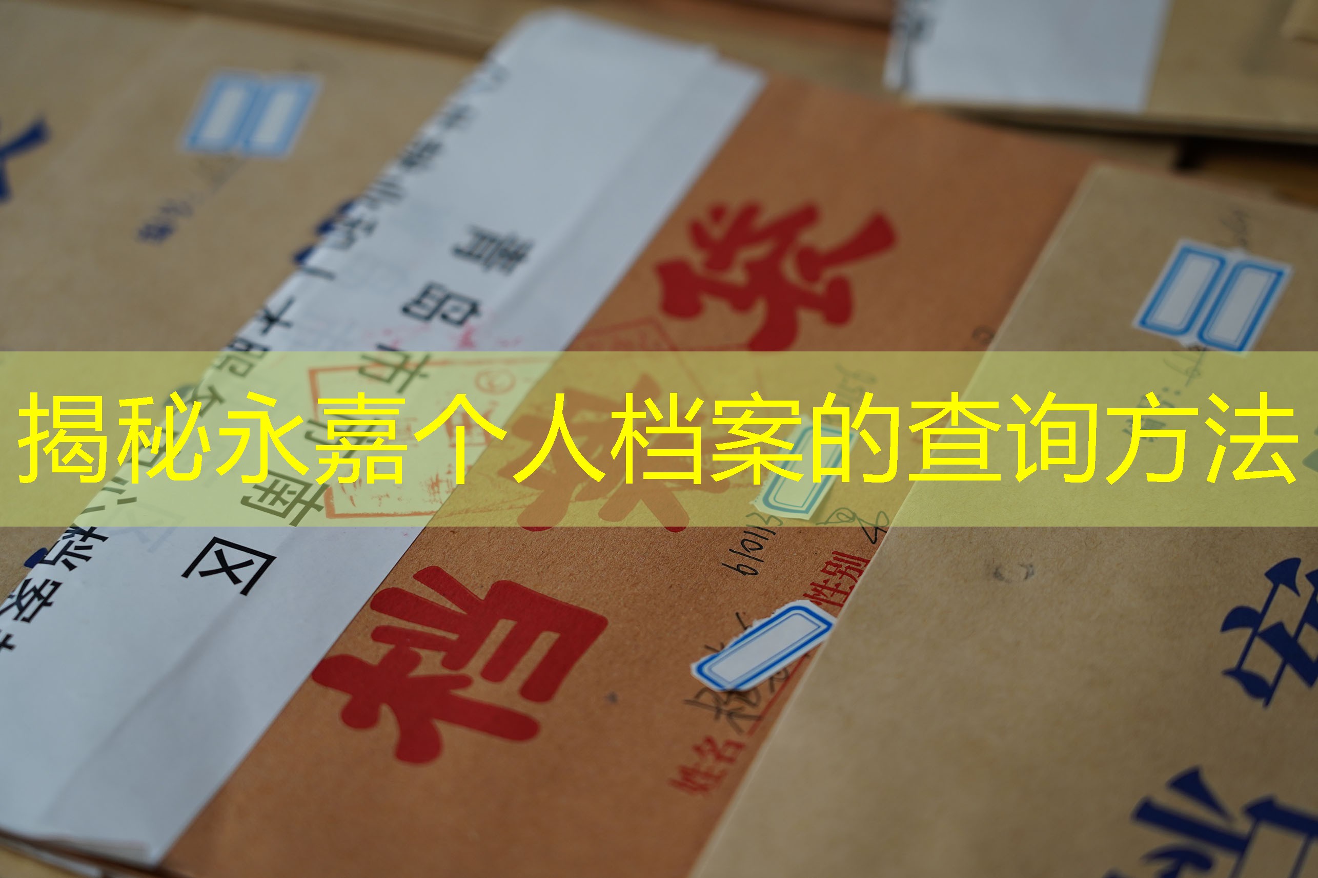 档案查询