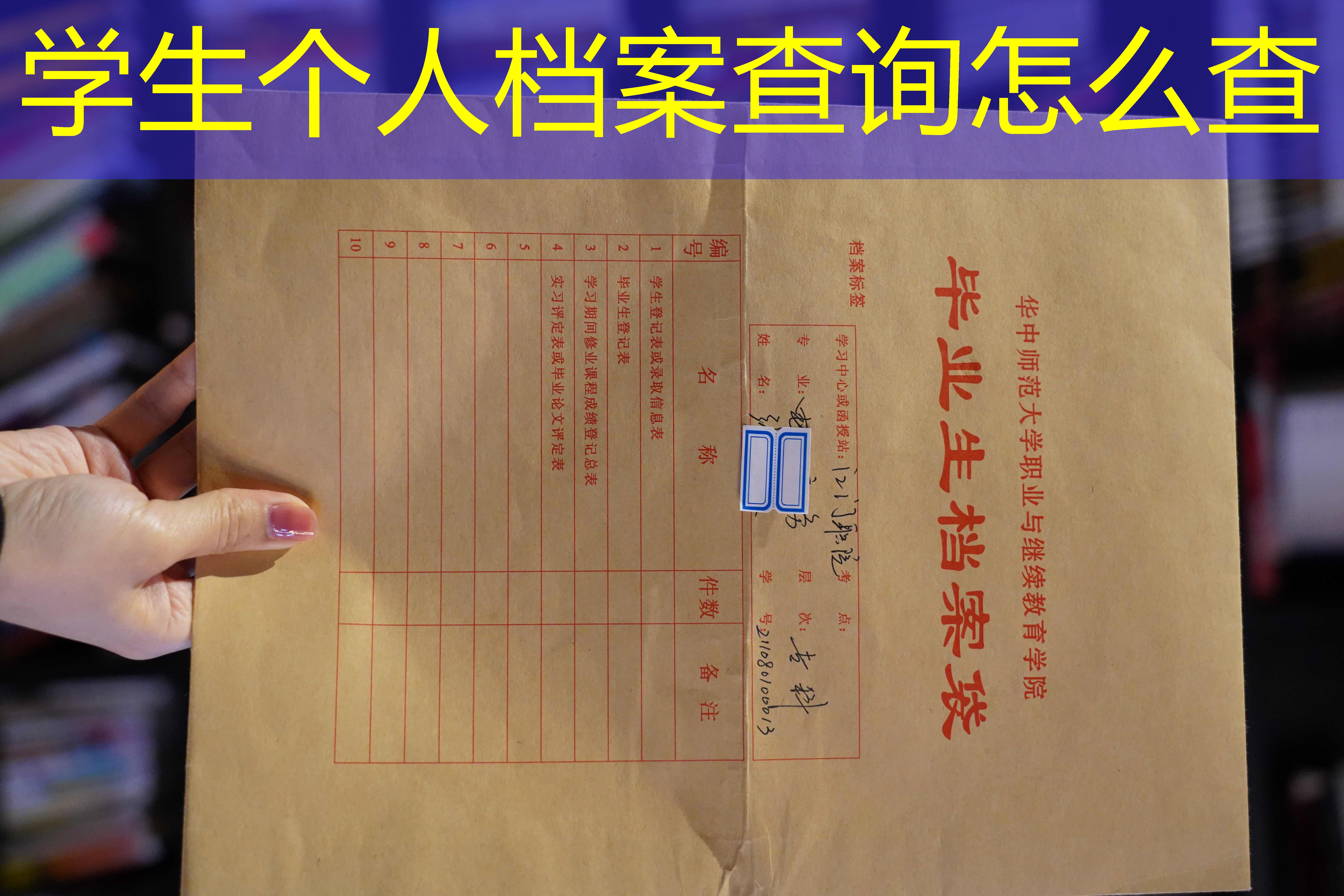 档案查询