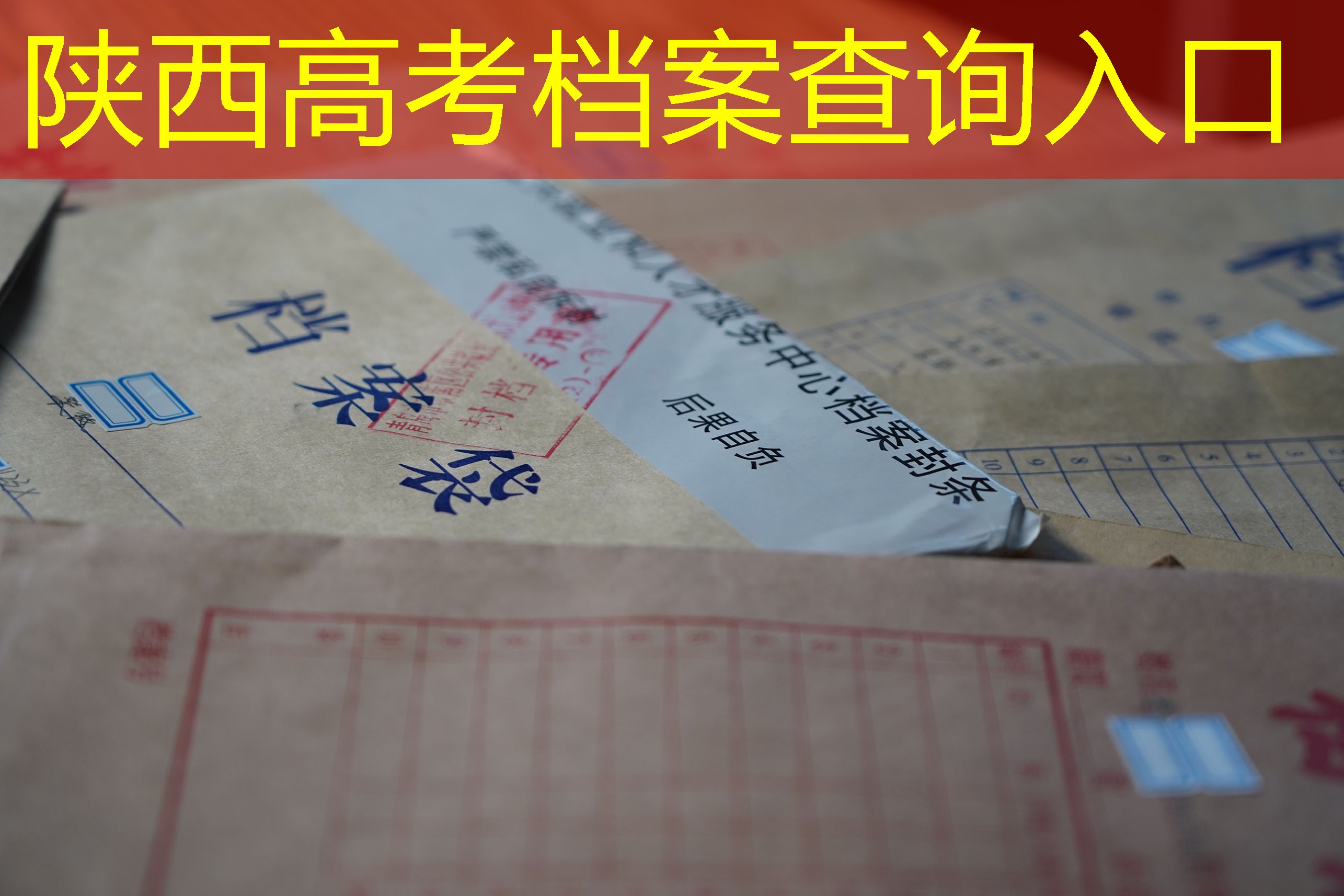 档案查询