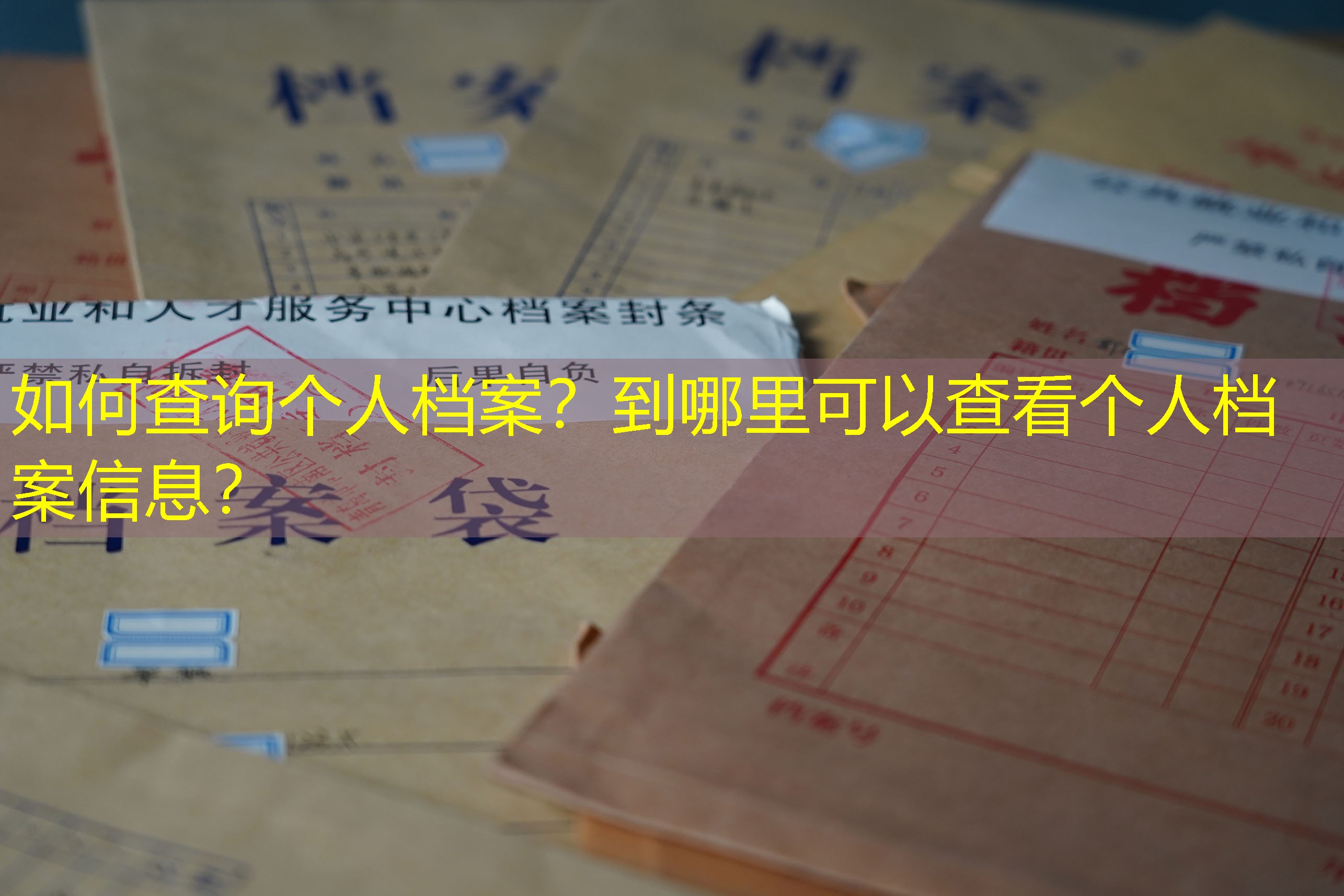 档案查询