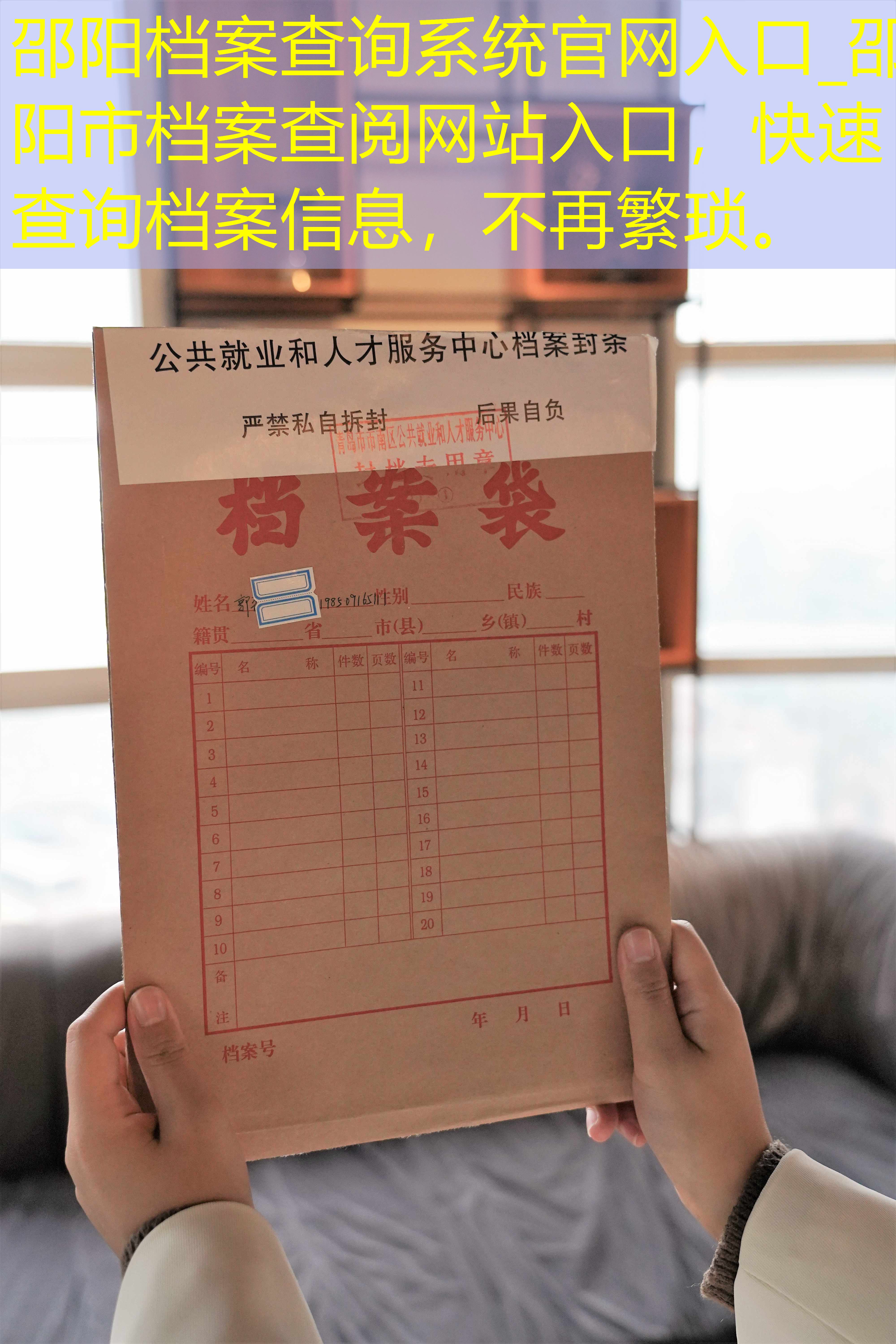 档案查询