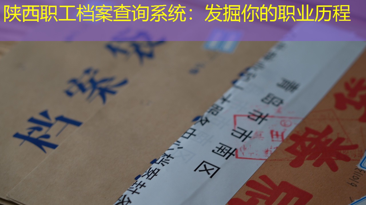 档案查询