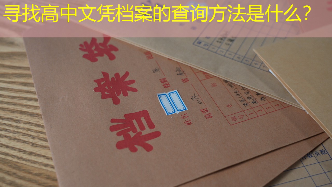 档案查询