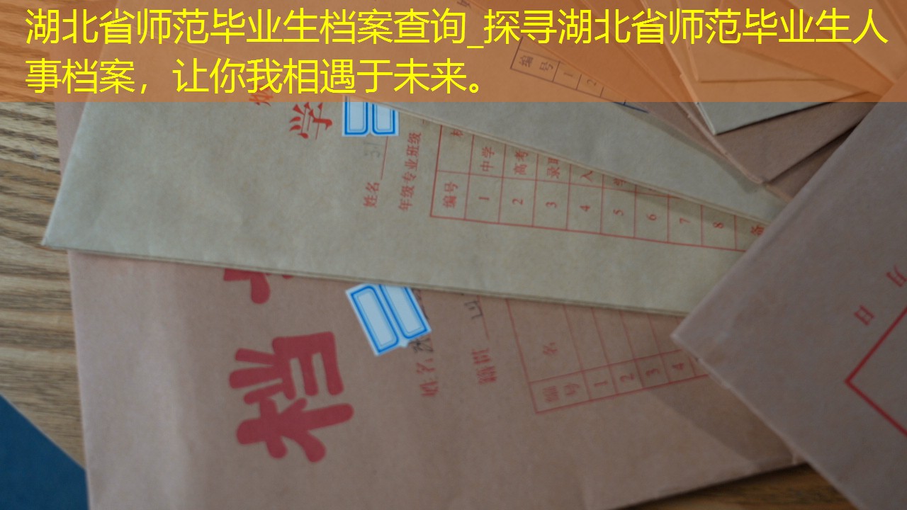 档案查询