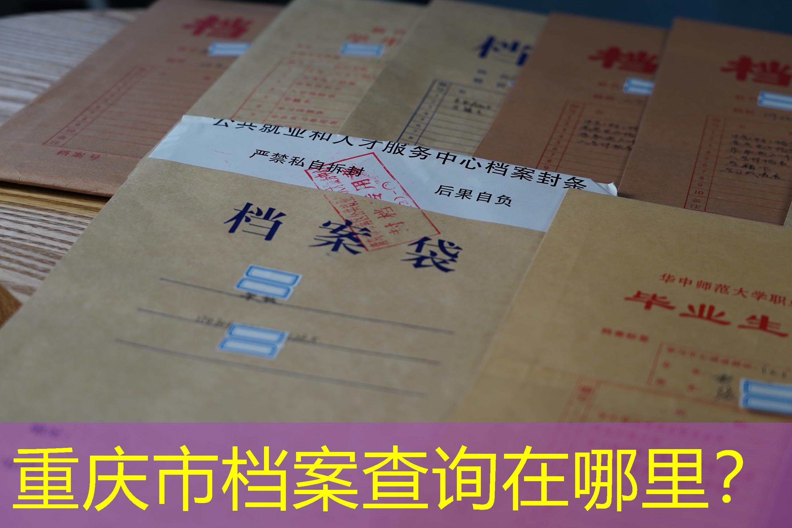 档案查询