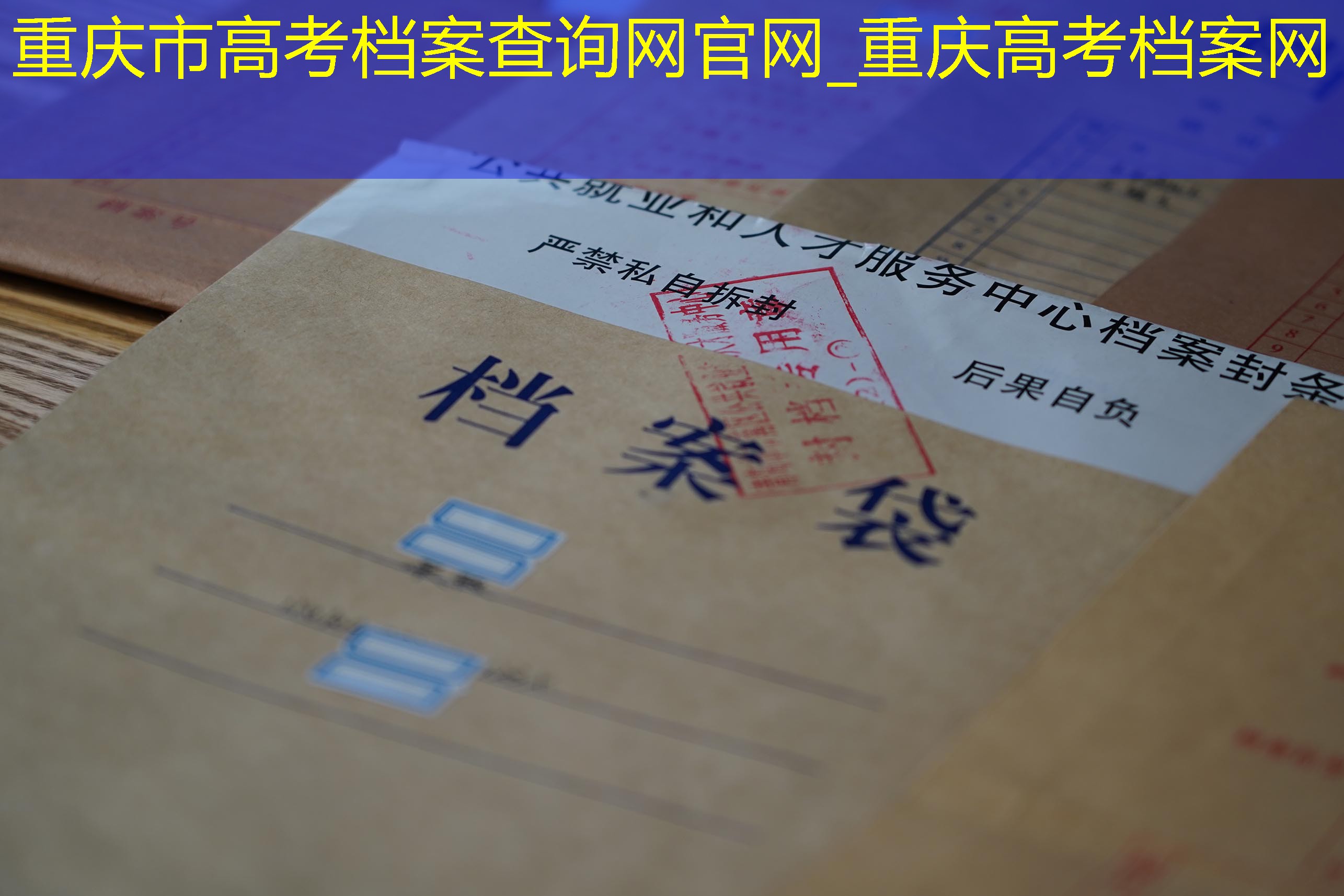 档案查询