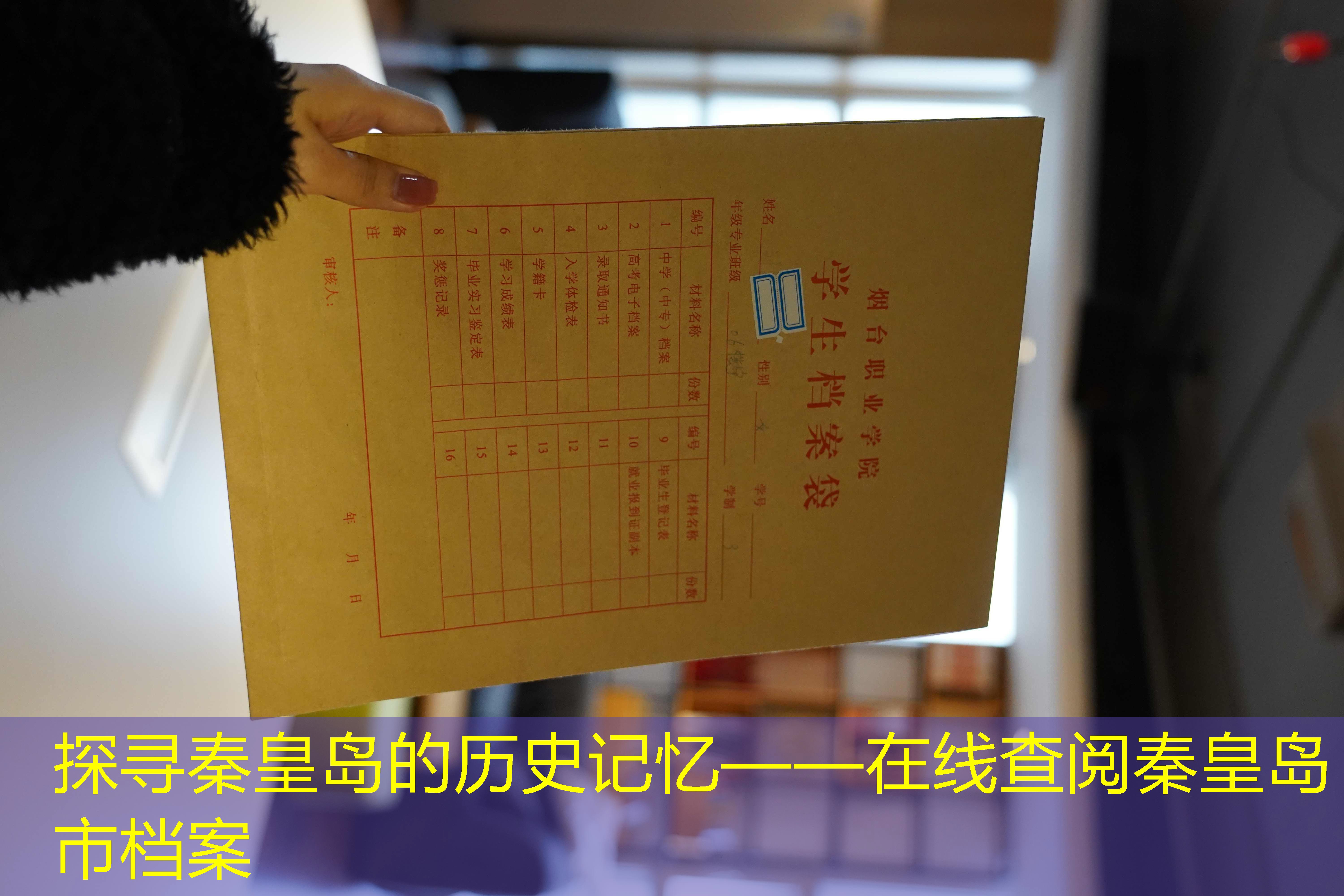档案查询