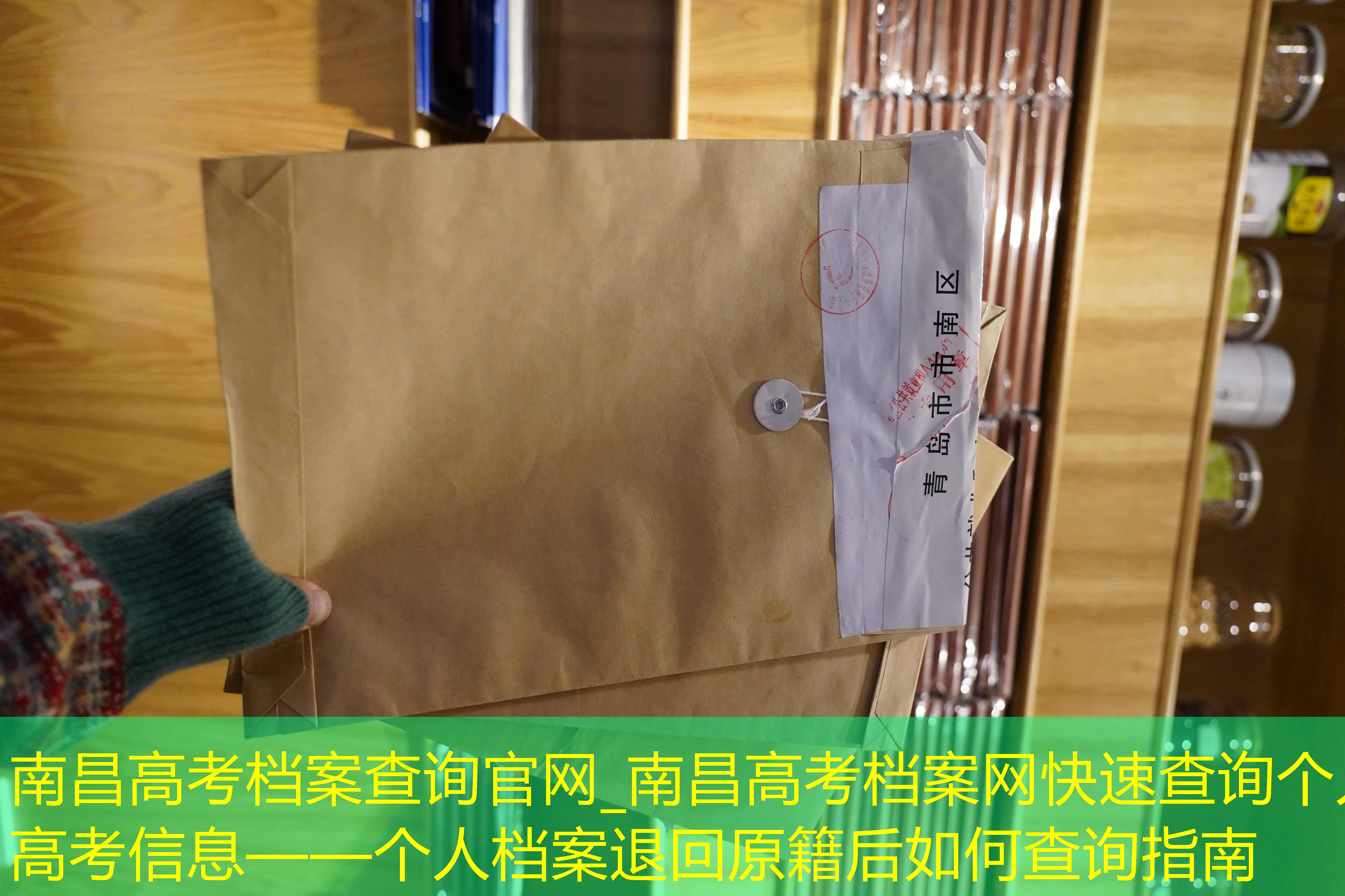 档案查询