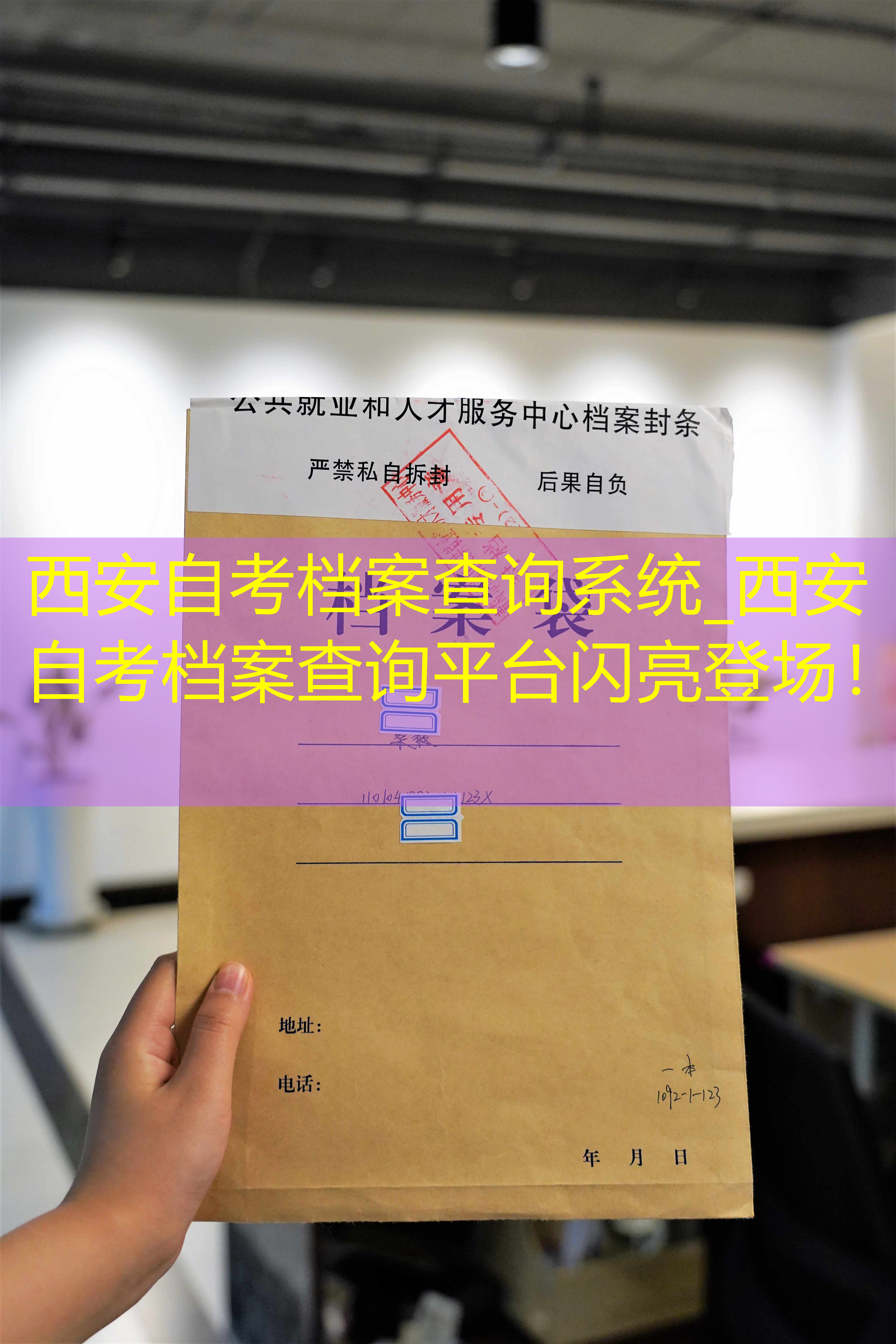 档案查询