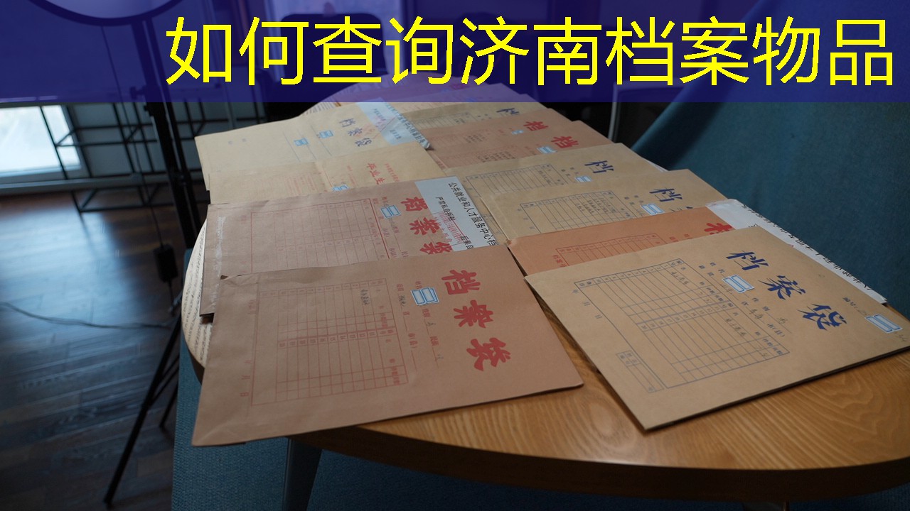 档案查询