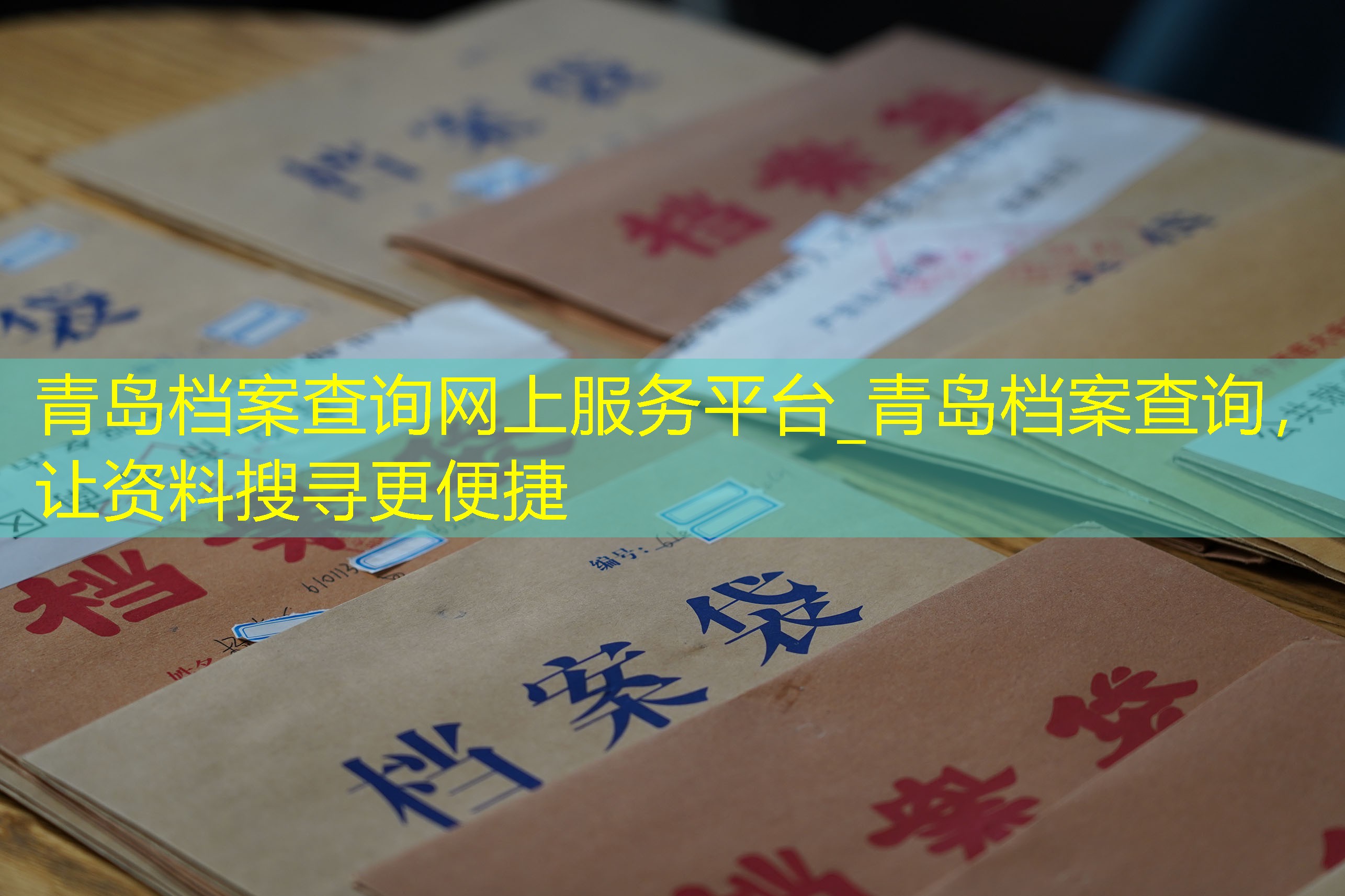 档案查询