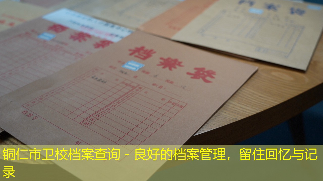 档案查询
