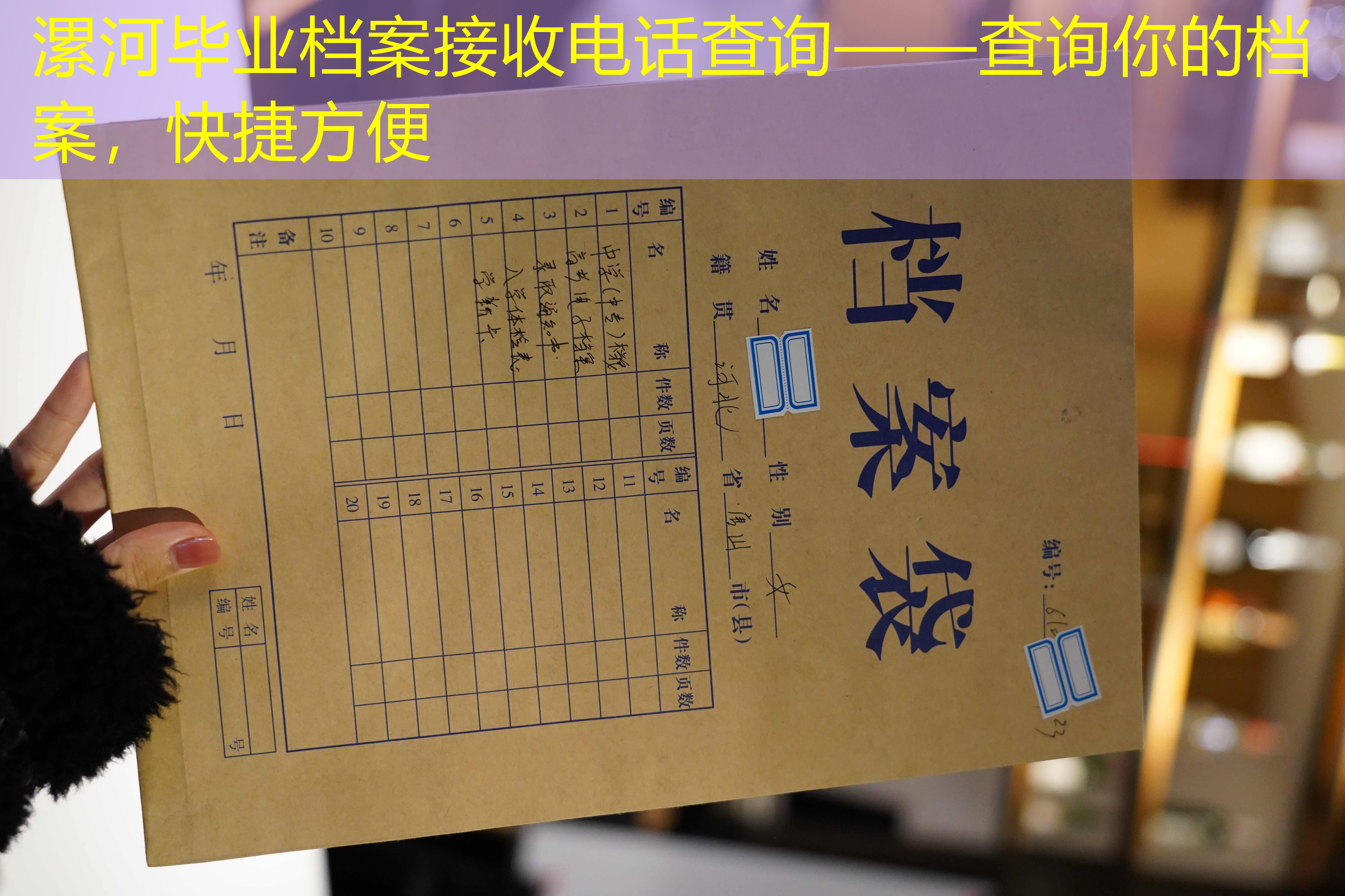 档案查询