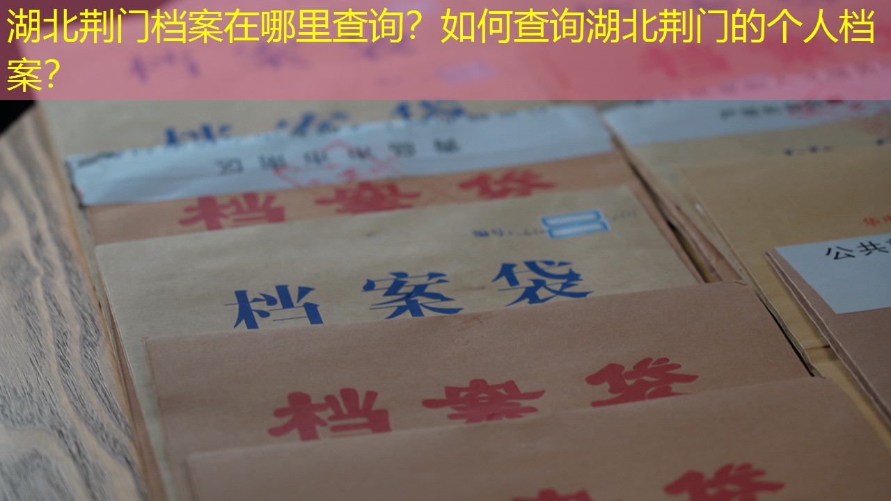 档案查询