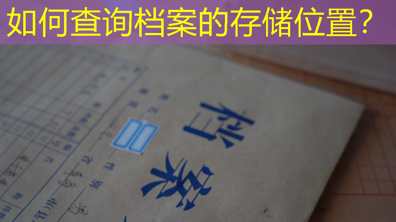 档案查询
