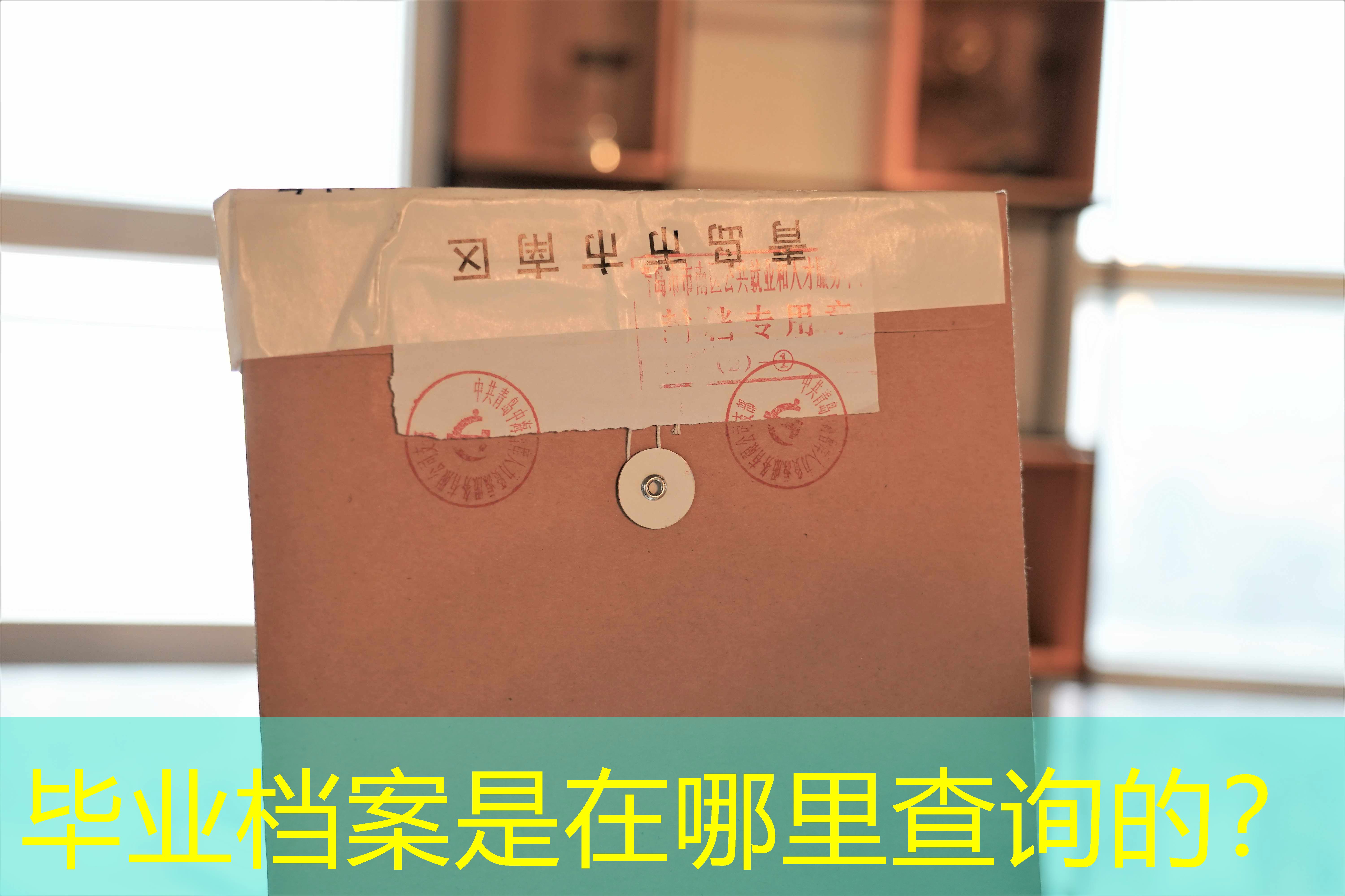 档案查询