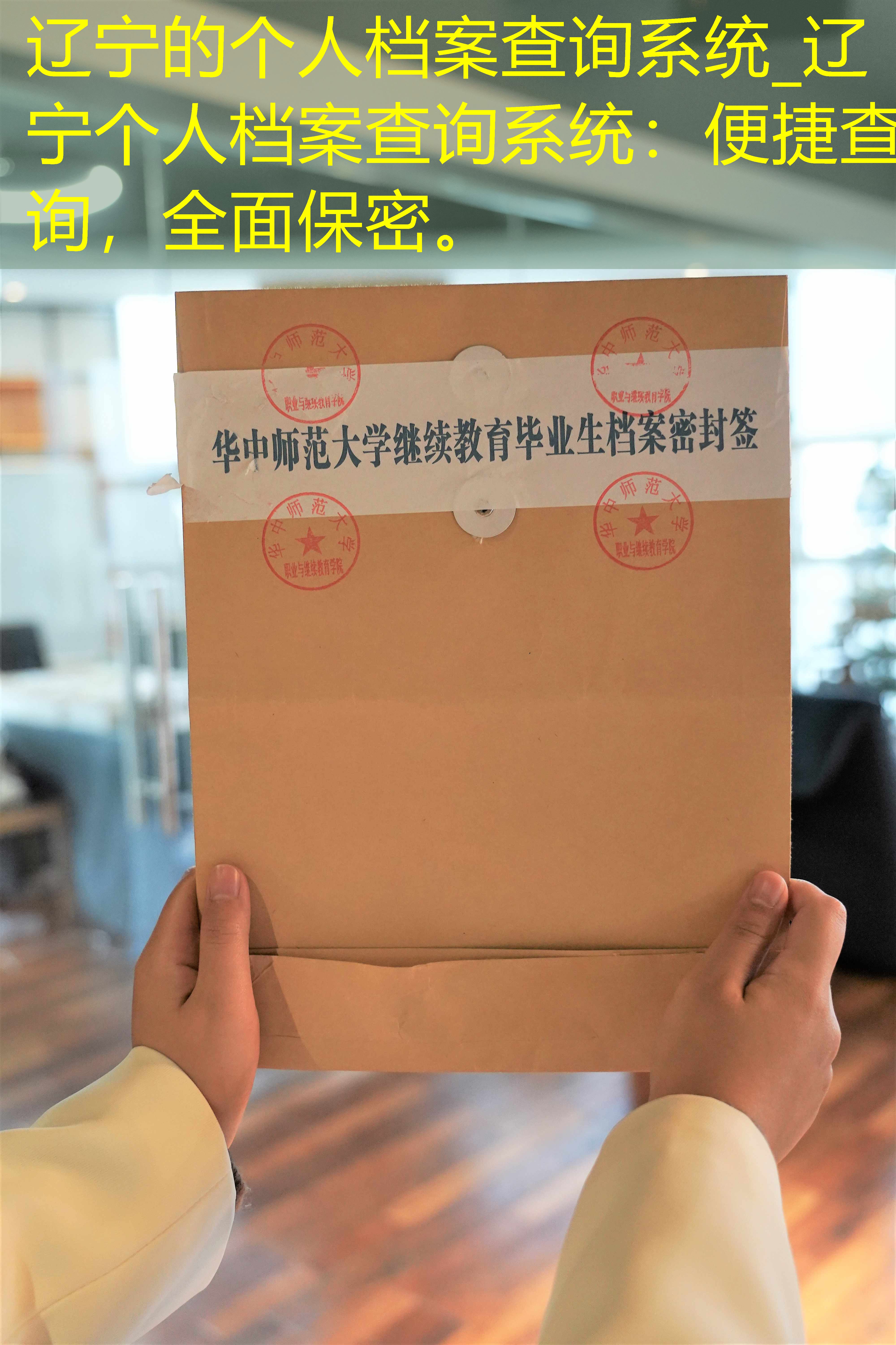 档案查询