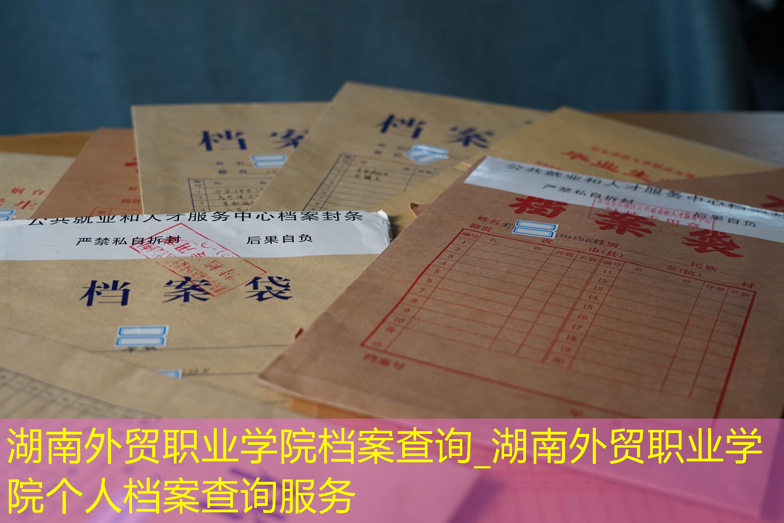 档案查询