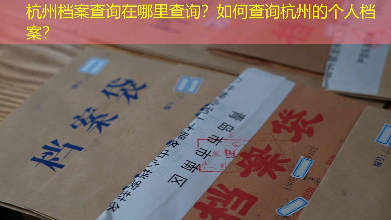 档案查询
