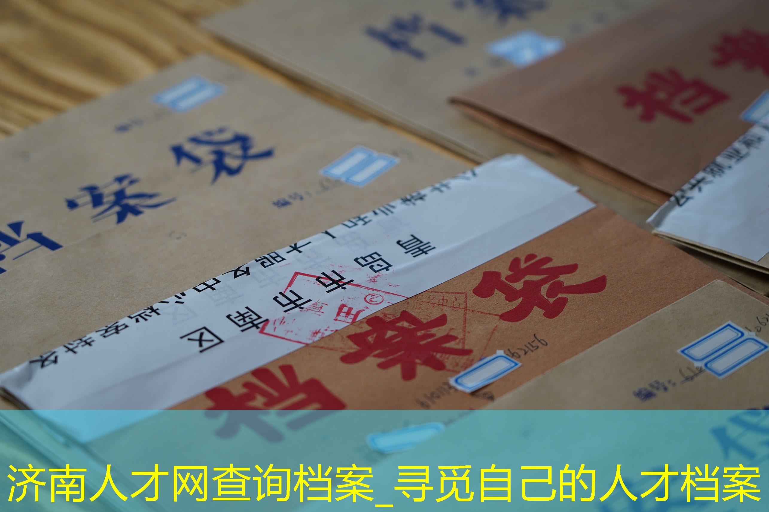 档案查询