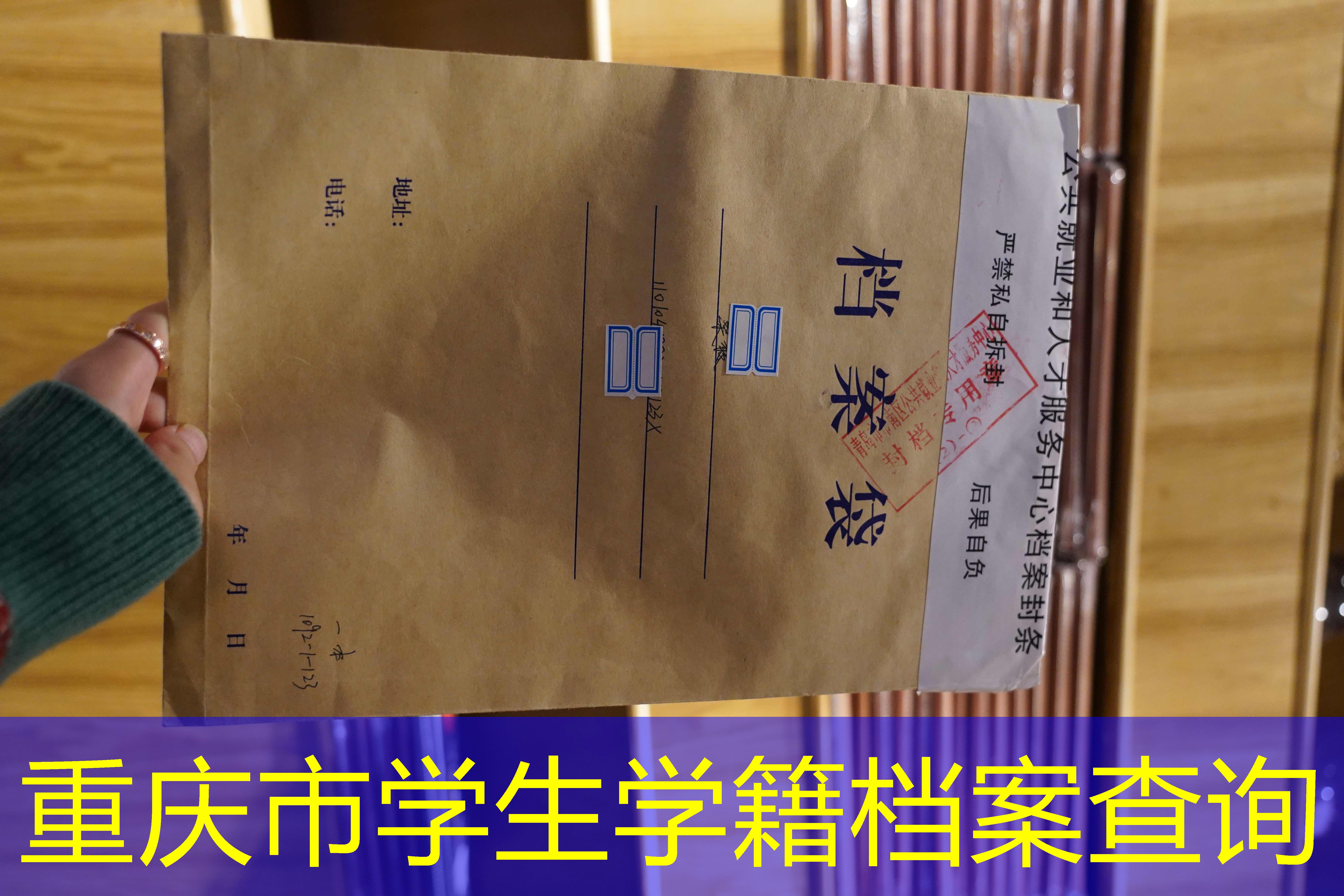 档案查询
