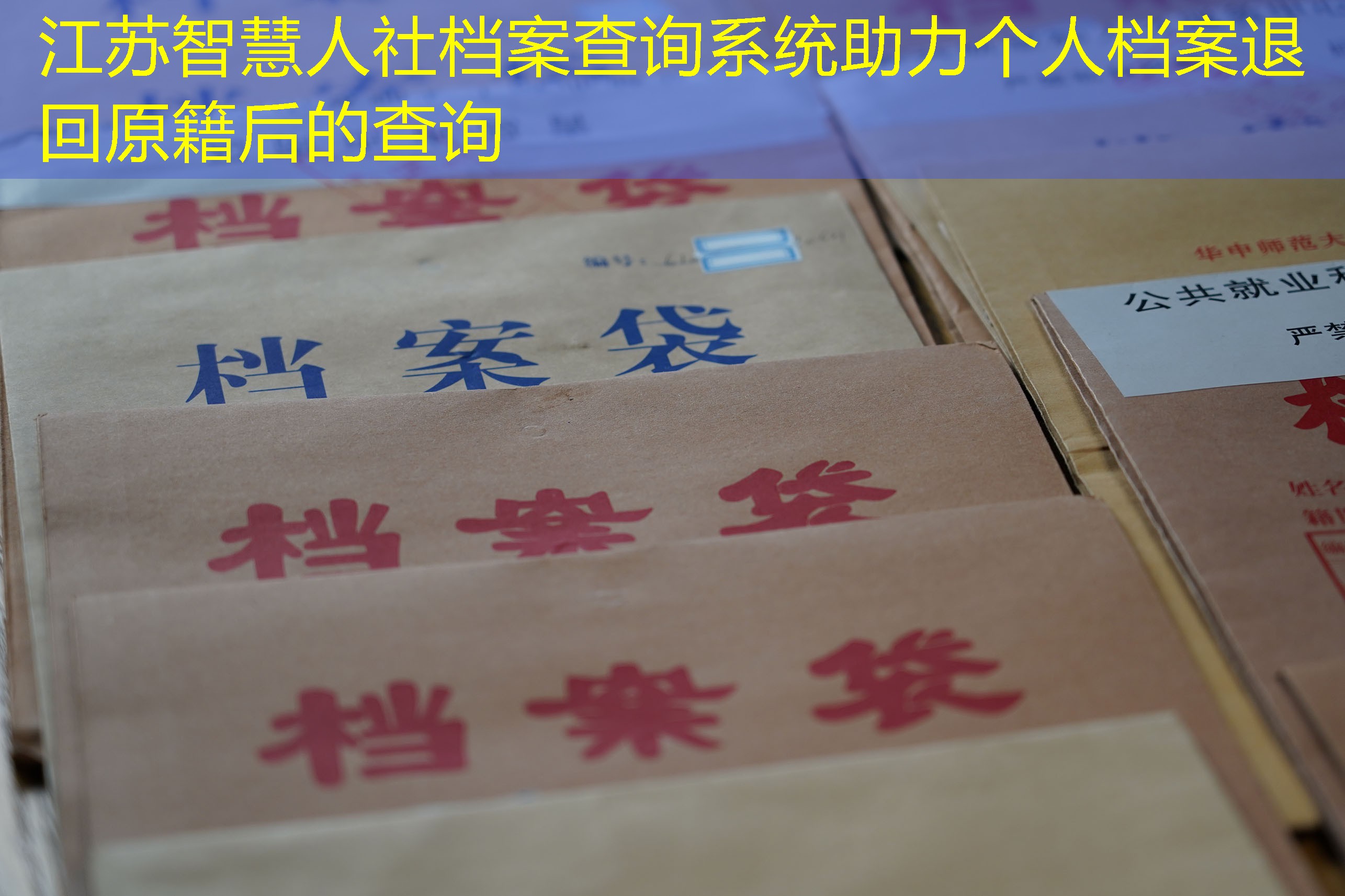 档案查询