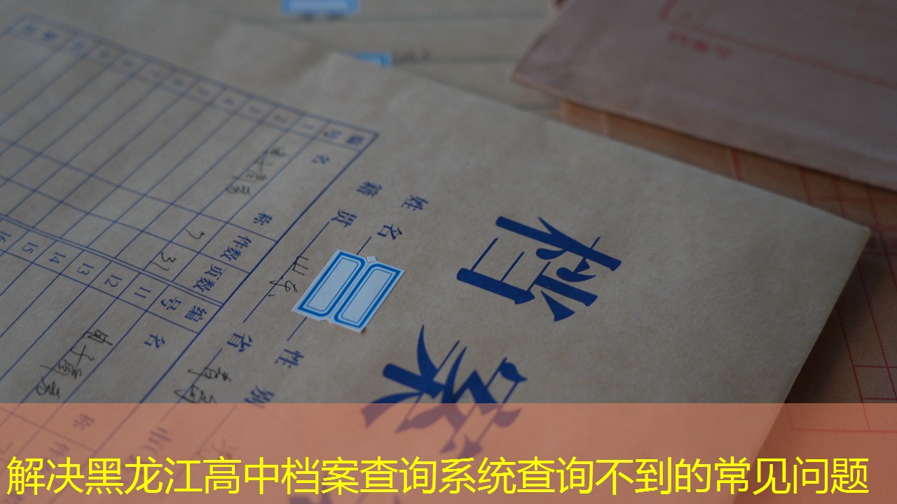 档案查询