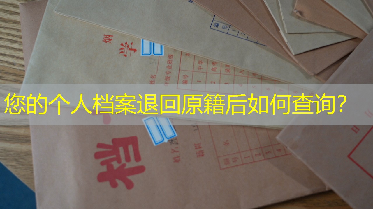 档案查询