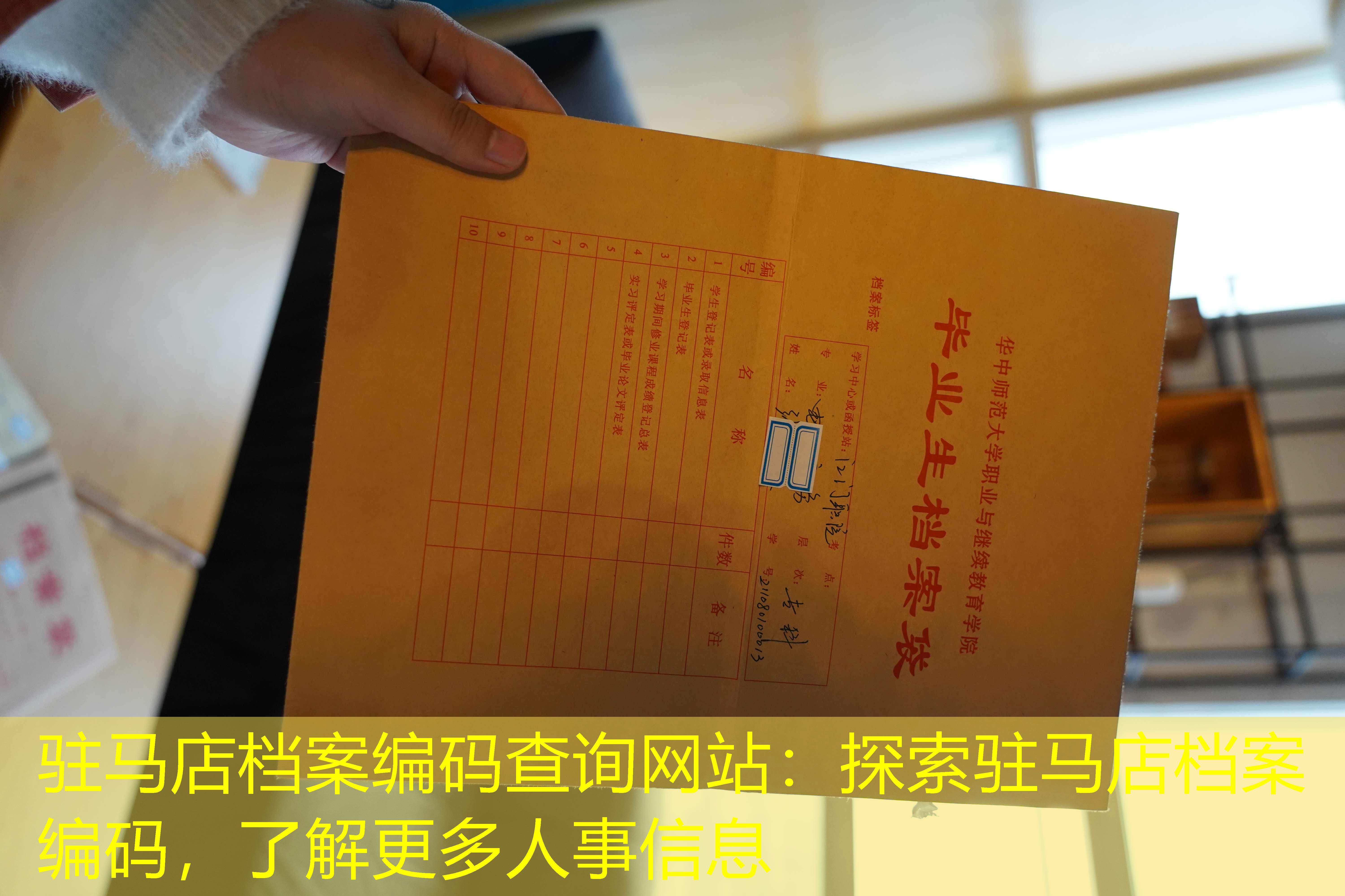 档案查询