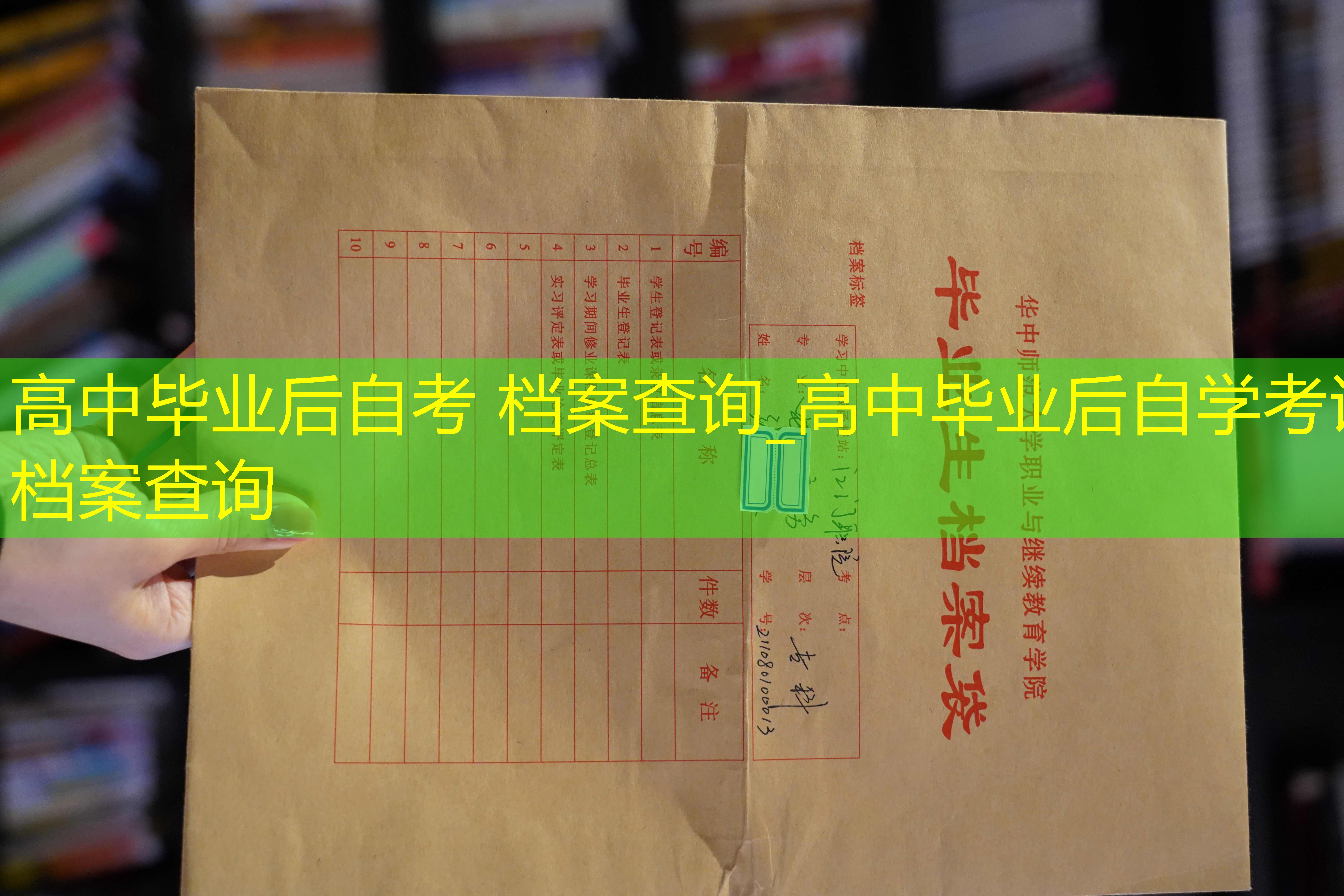 档案查询