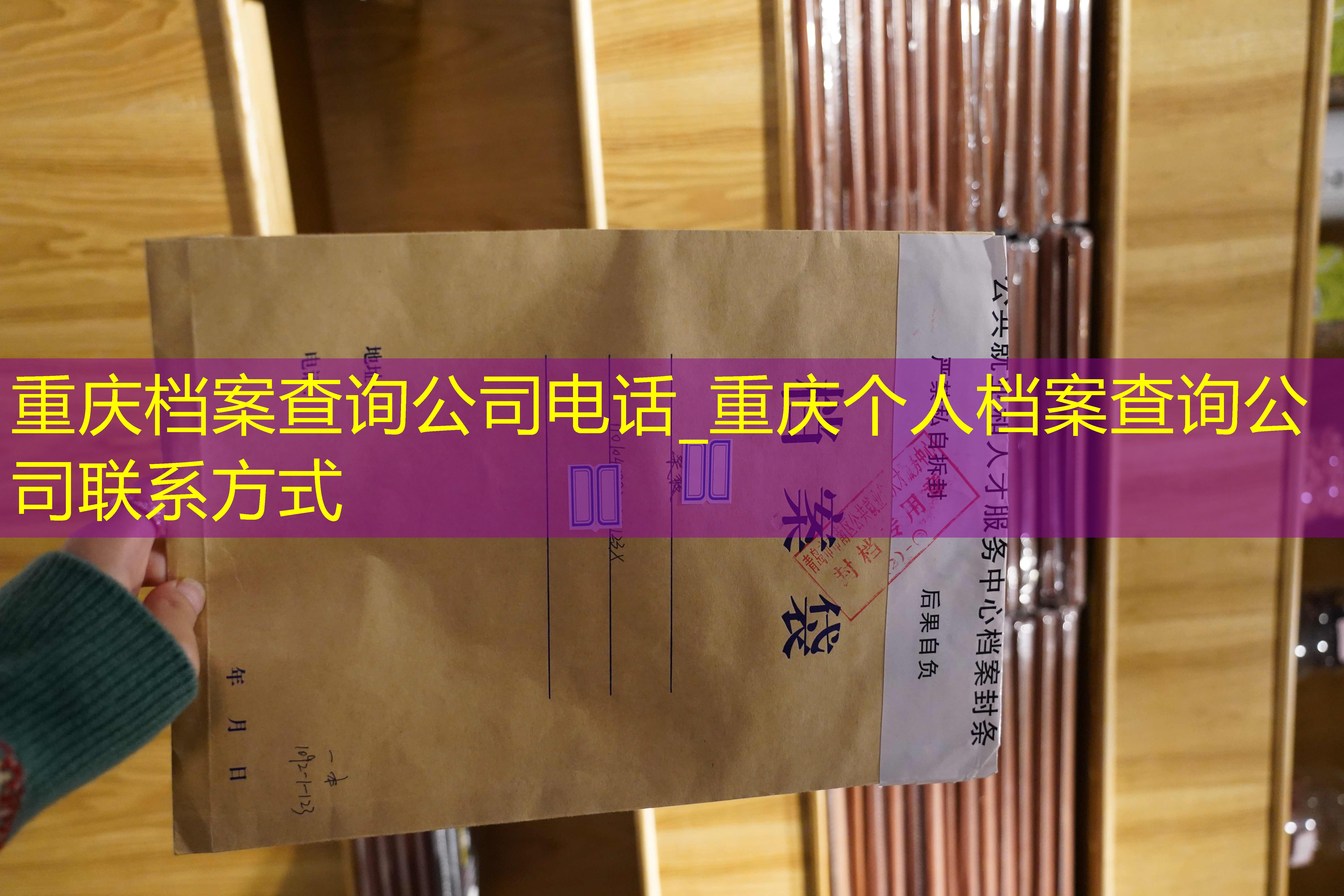 档案查询