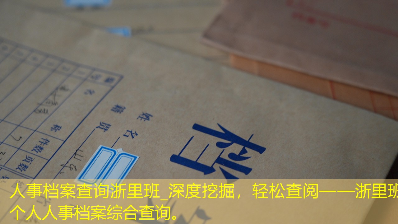 档案查询