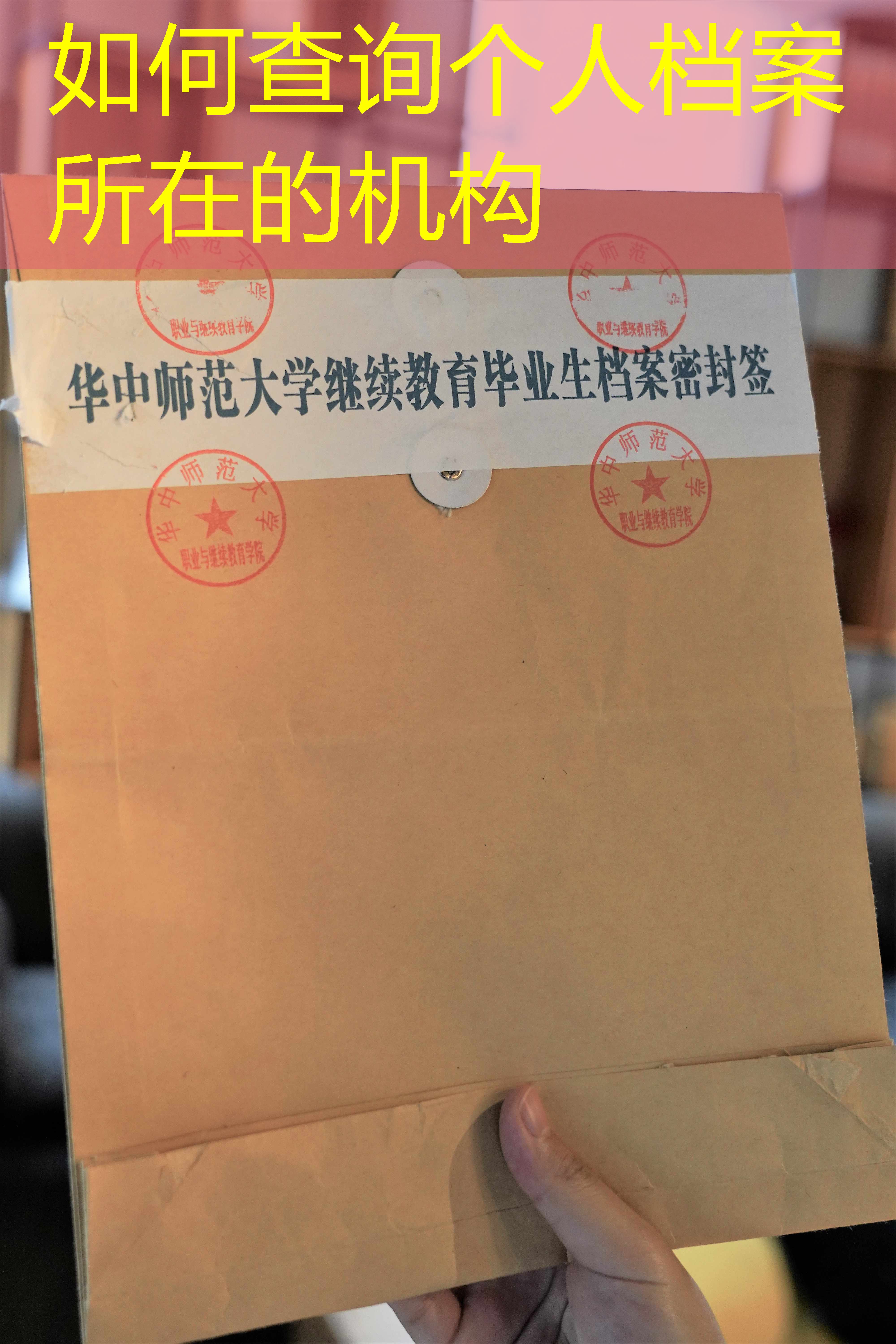 档案查询