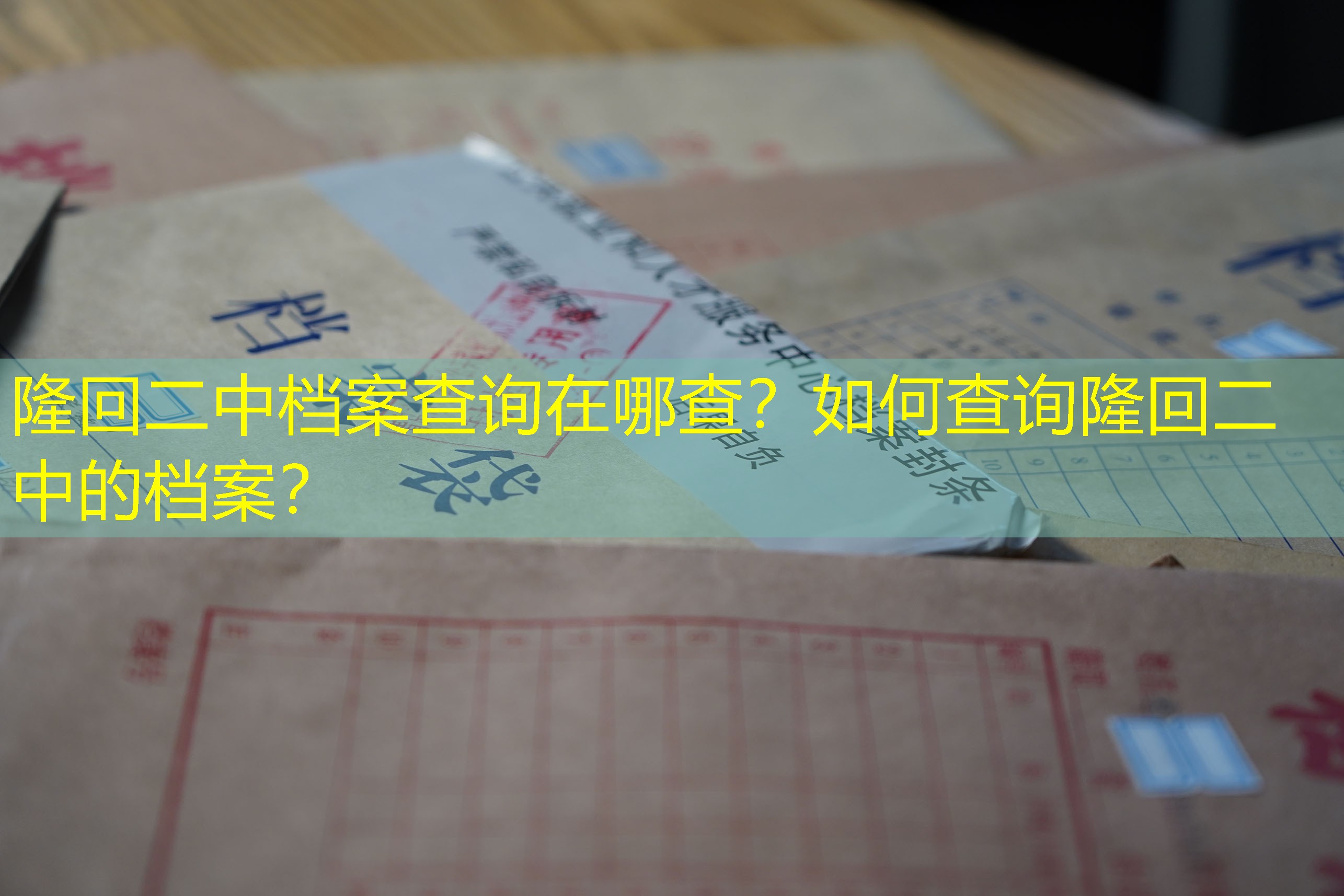 档案查询