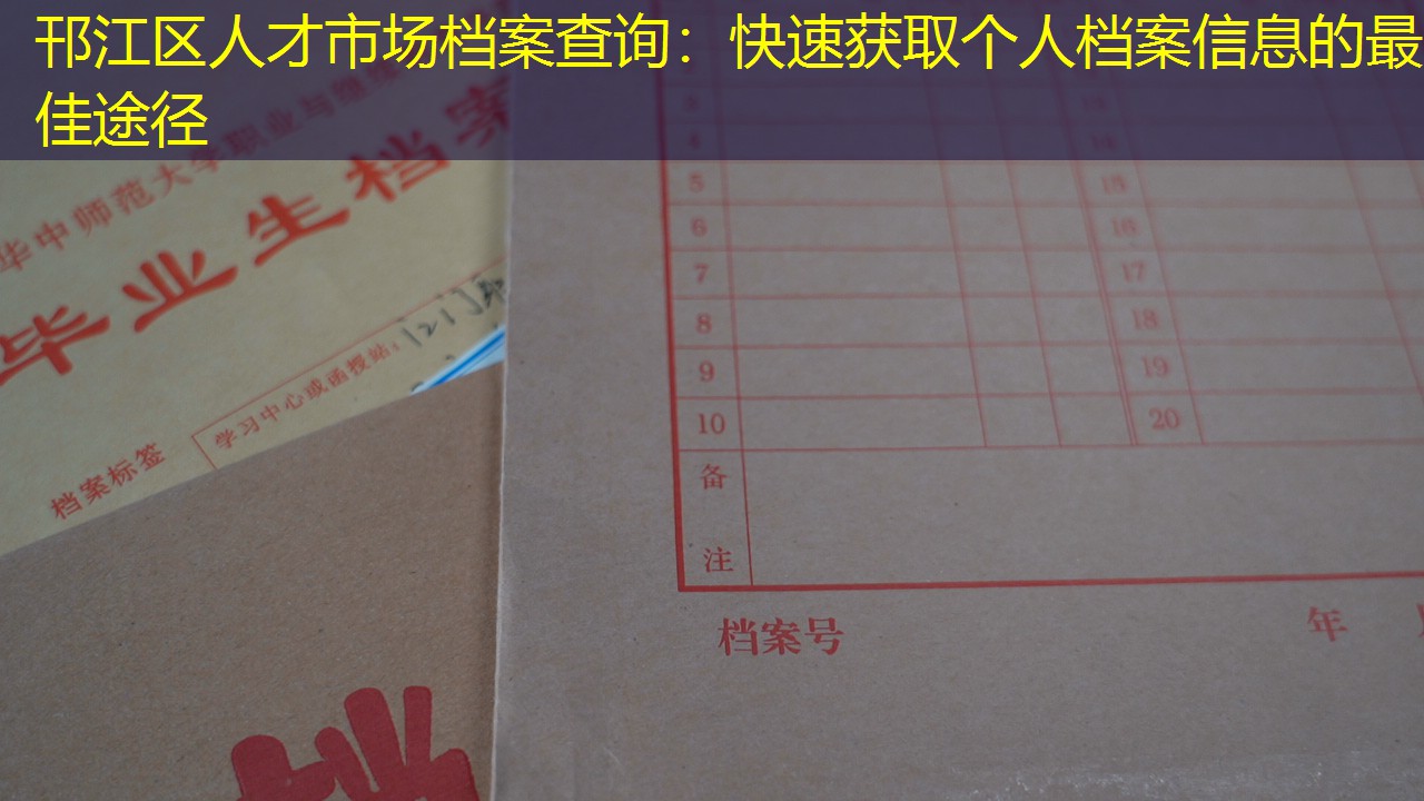 档案查询