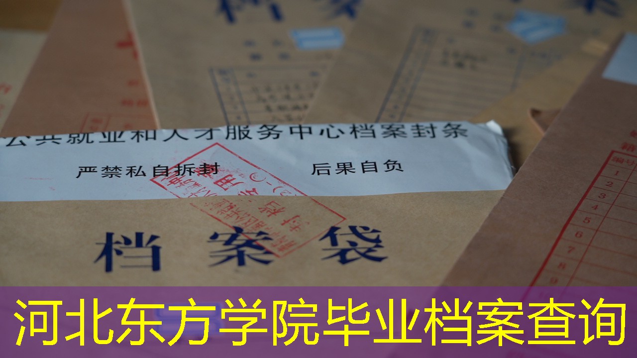 档案查询