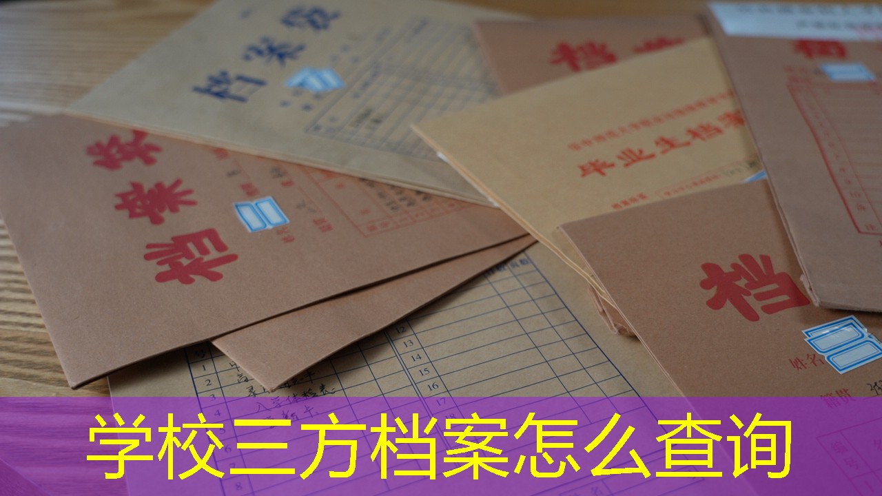 档案查询
