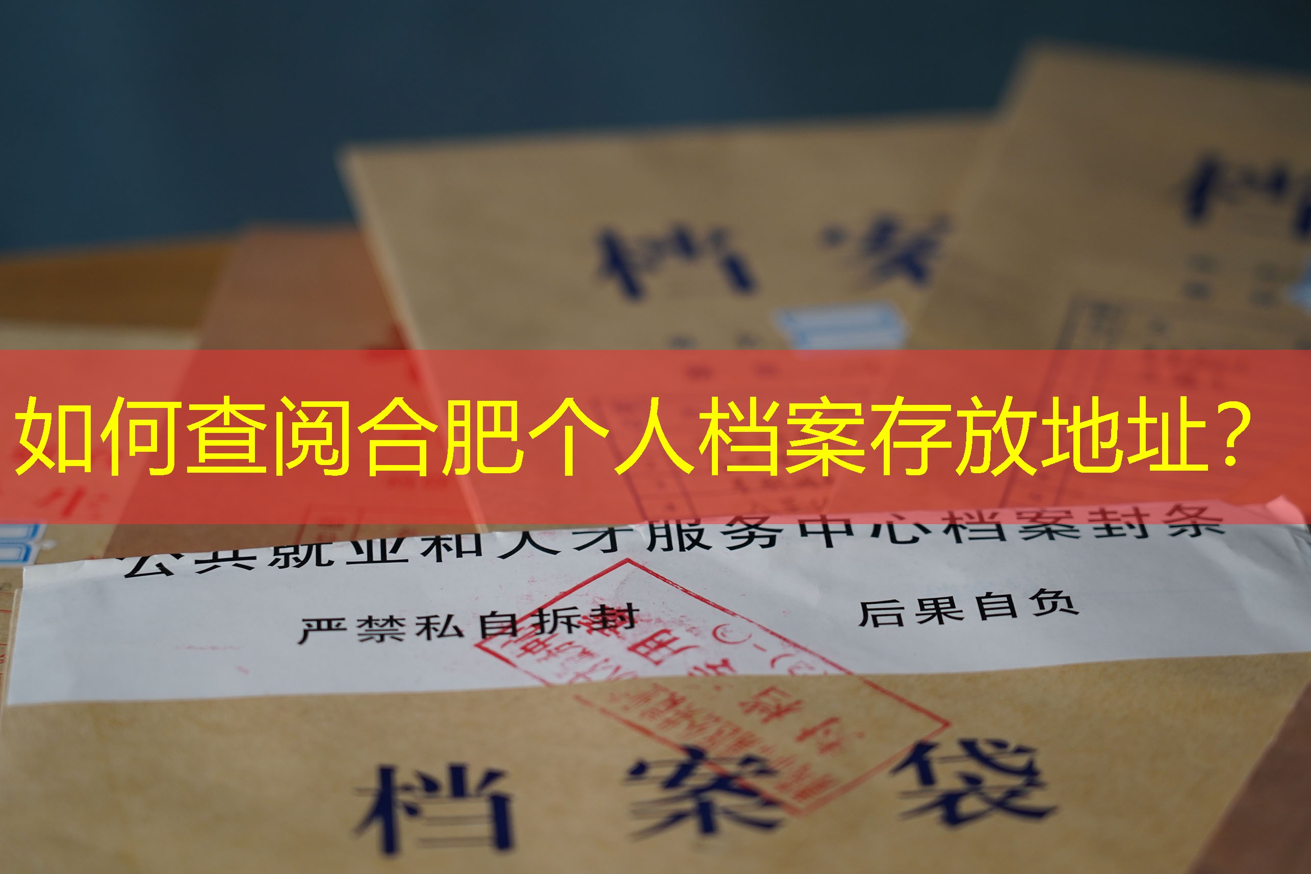 档案查询