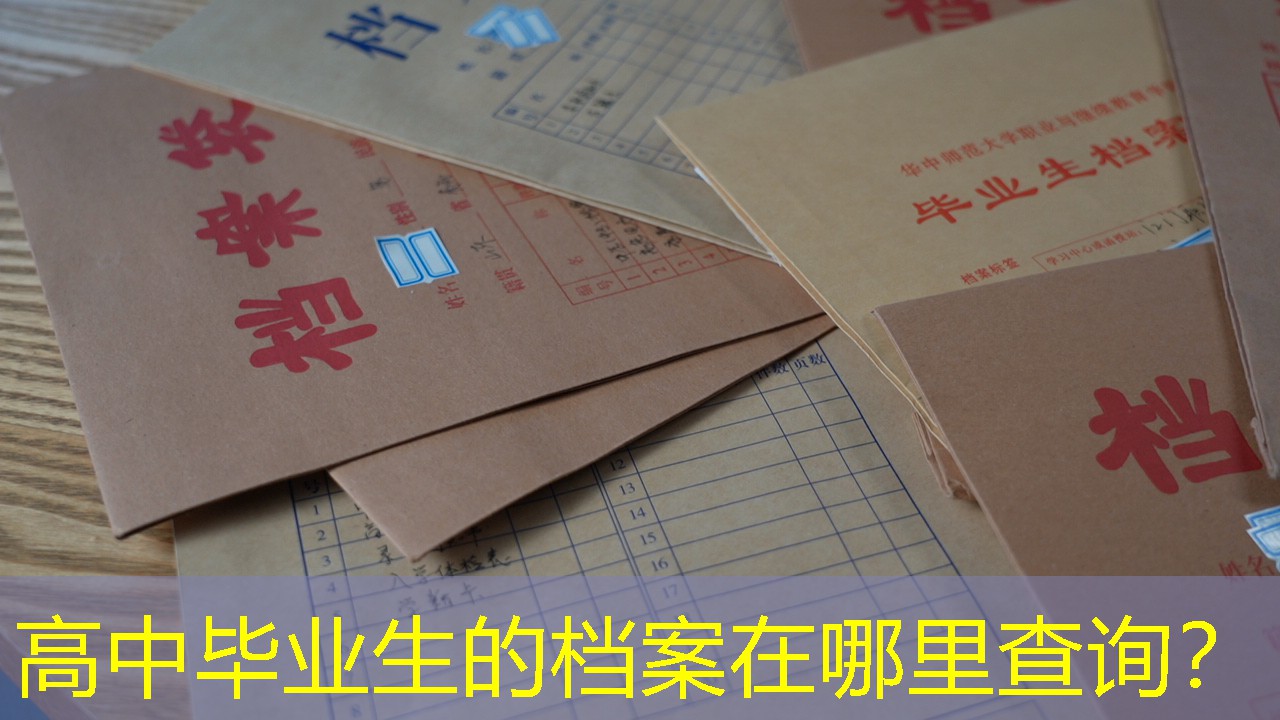 档案查询