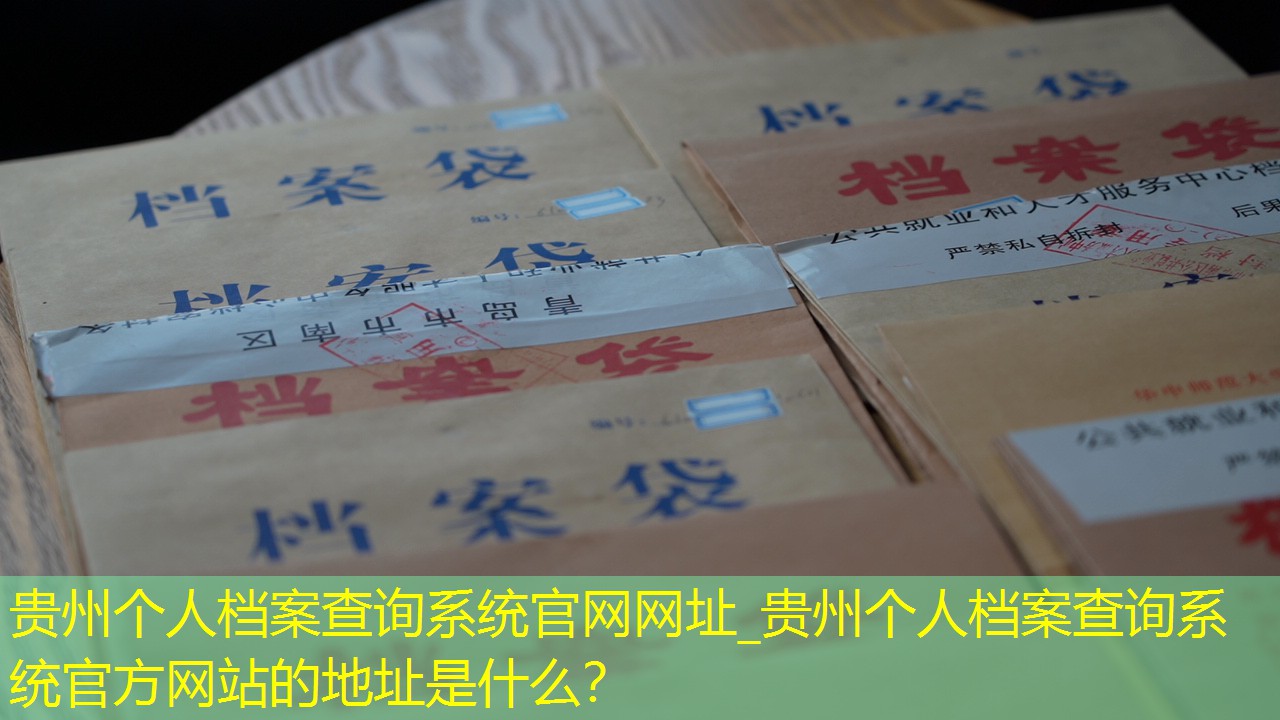 档案查询